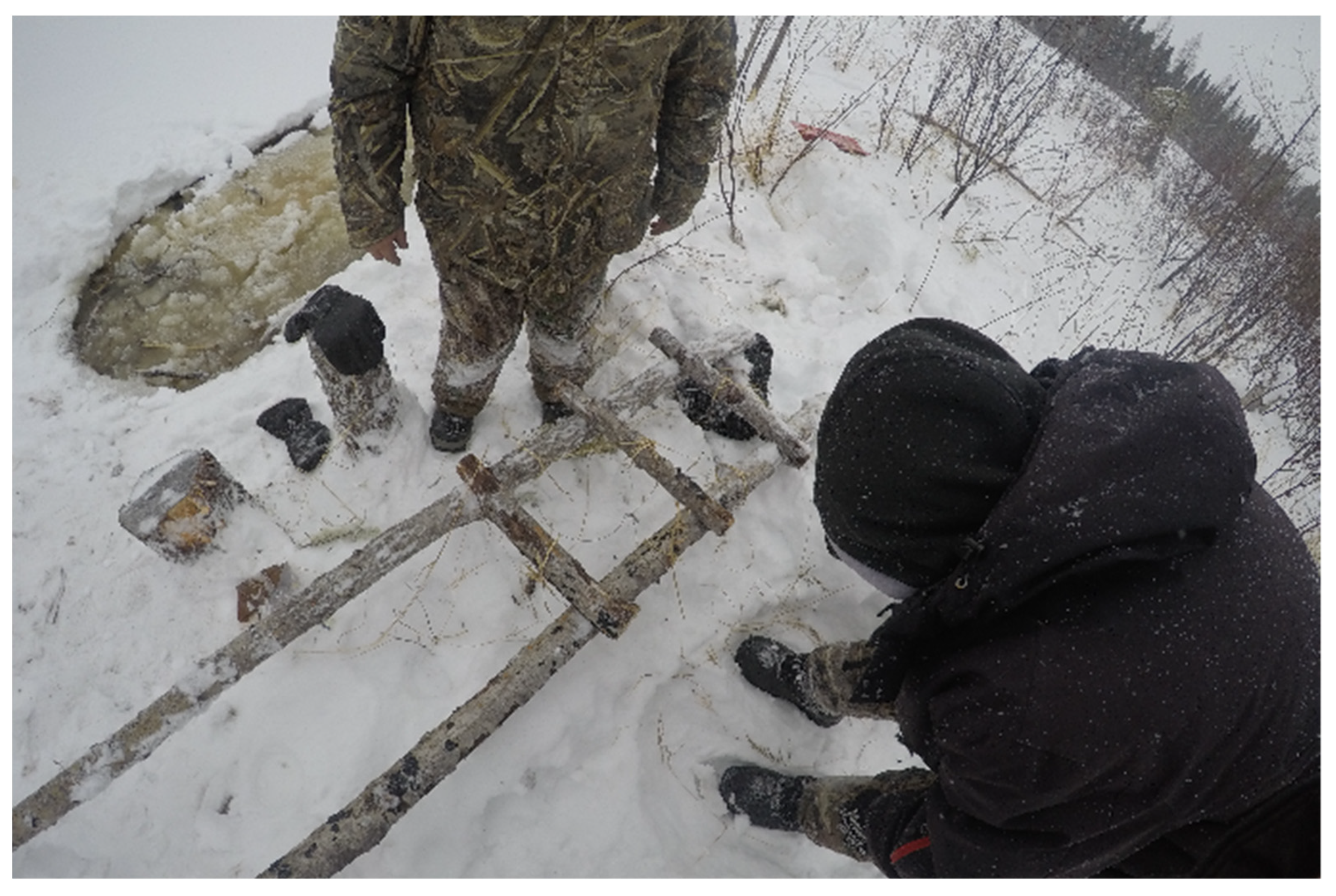 Ijerph 19 07335 g003