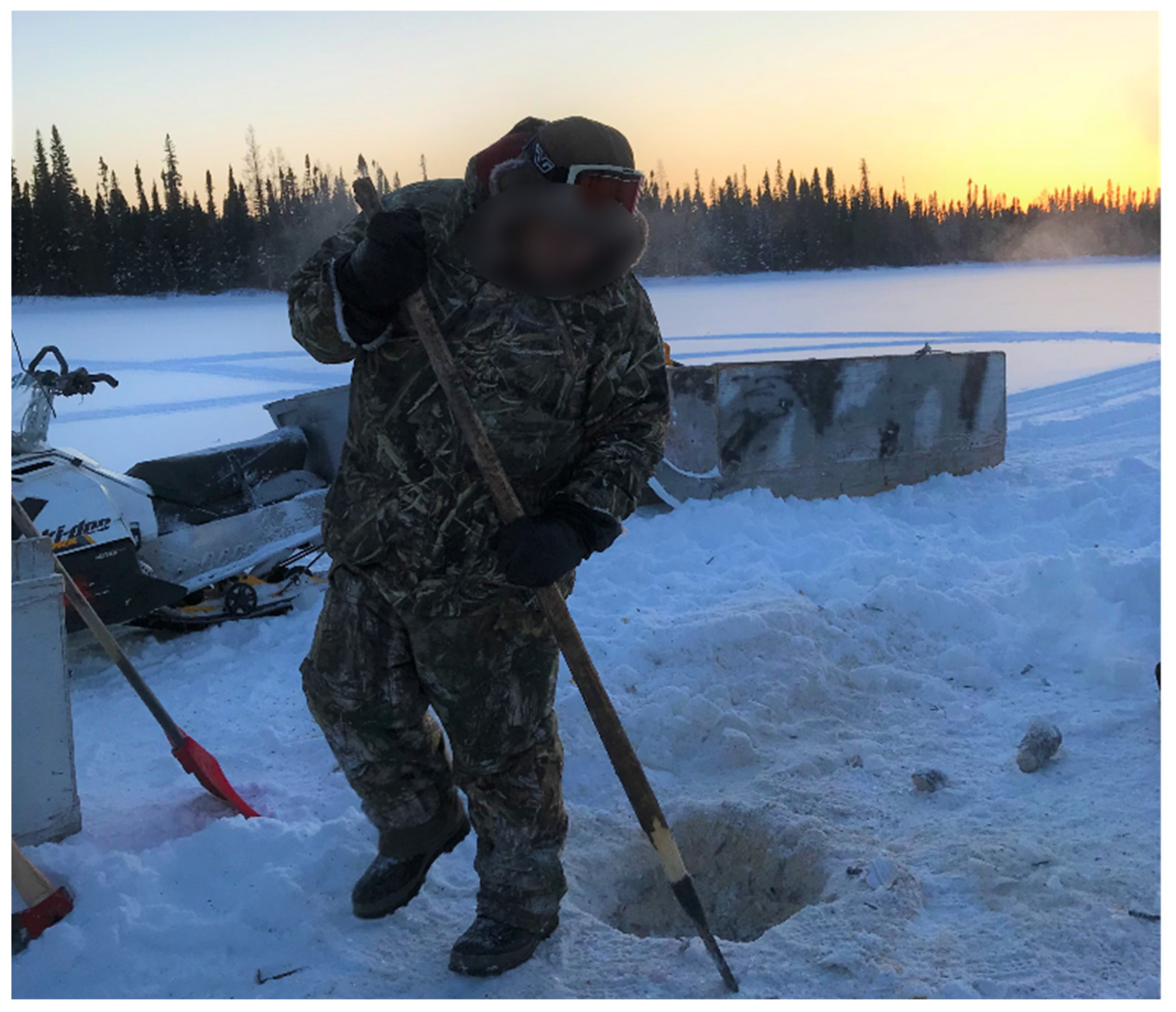 Ijerph 19 07335 g005