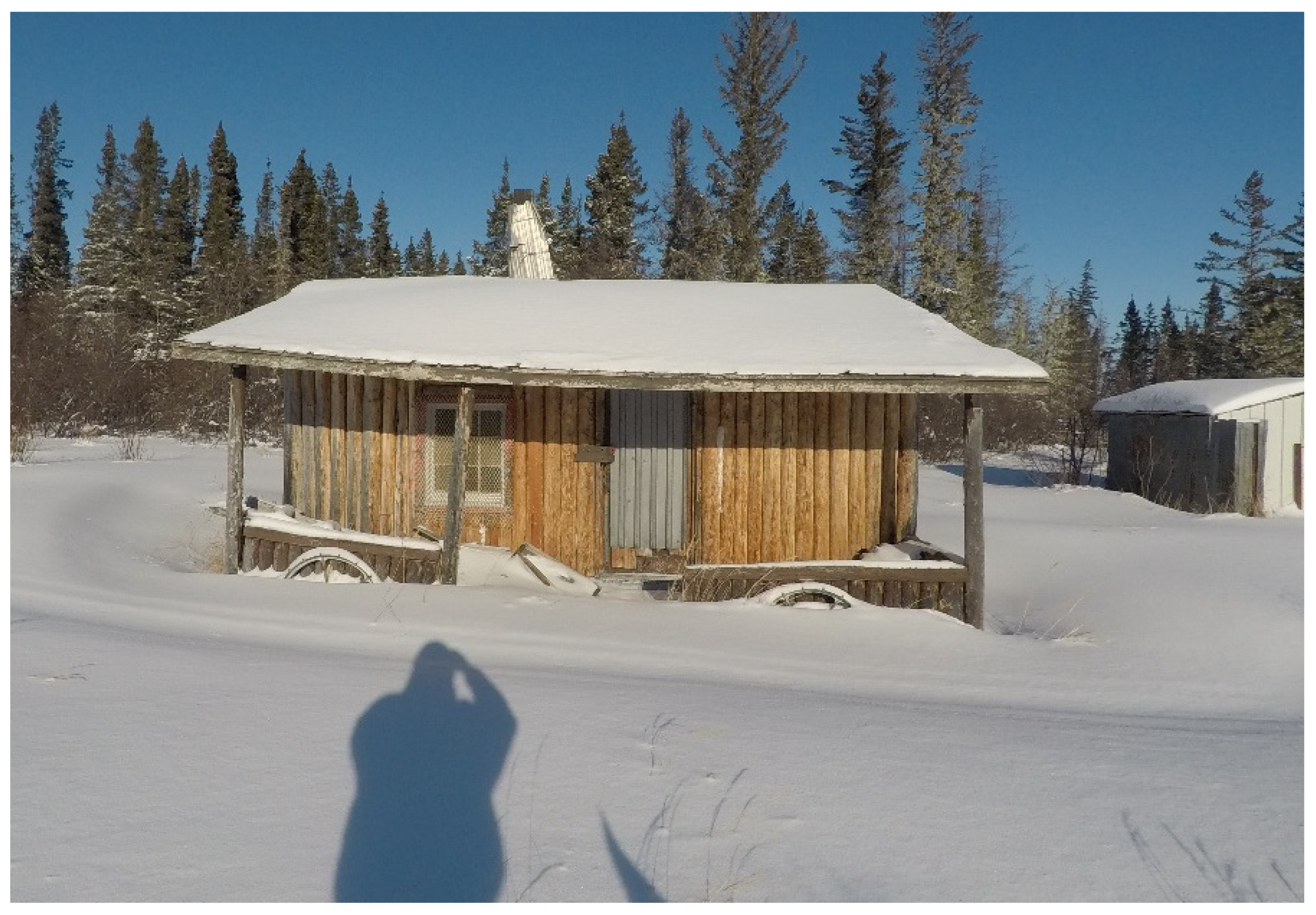 Ijerph 19 07335 g006