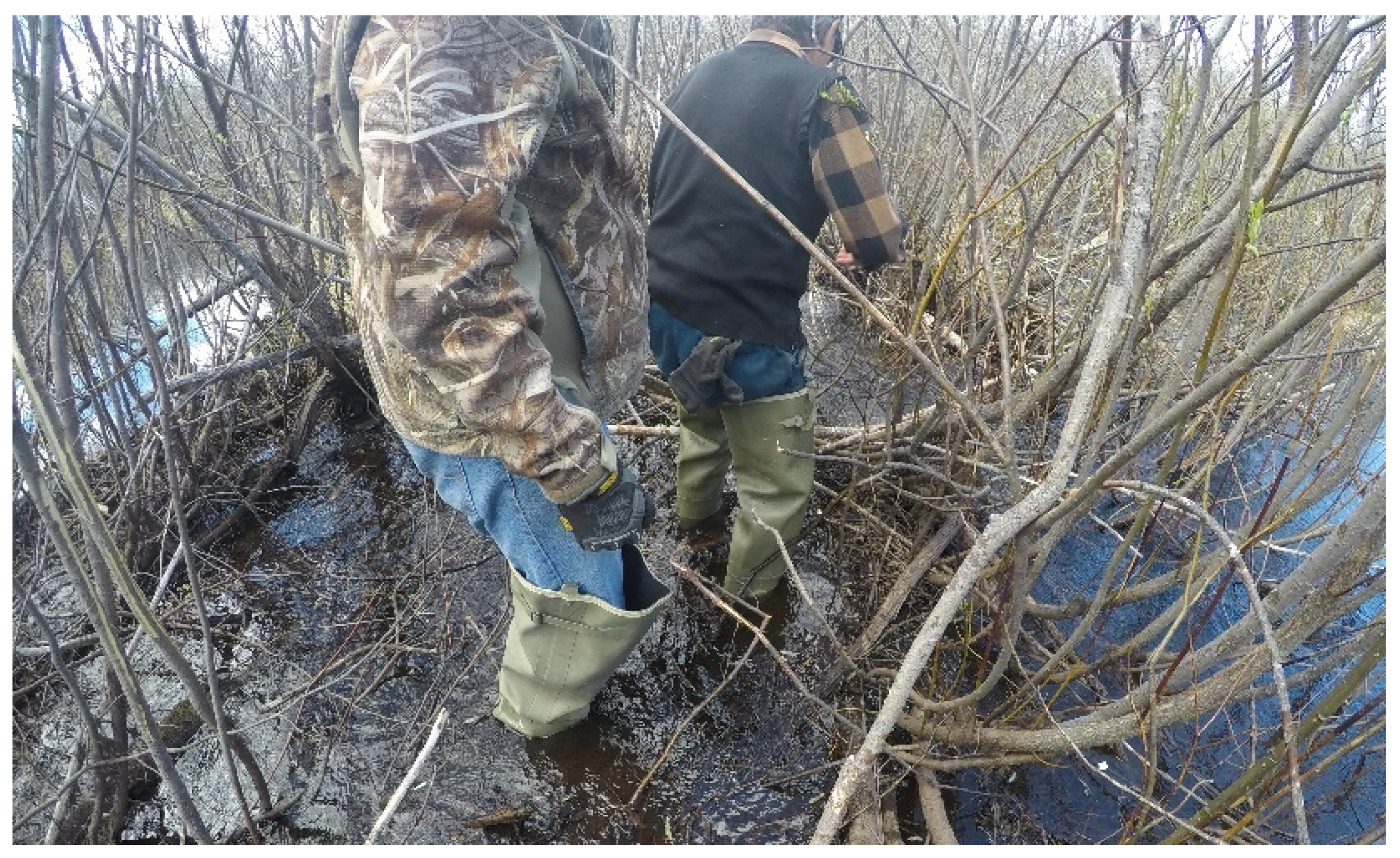 Ijerph 19 07335 g008