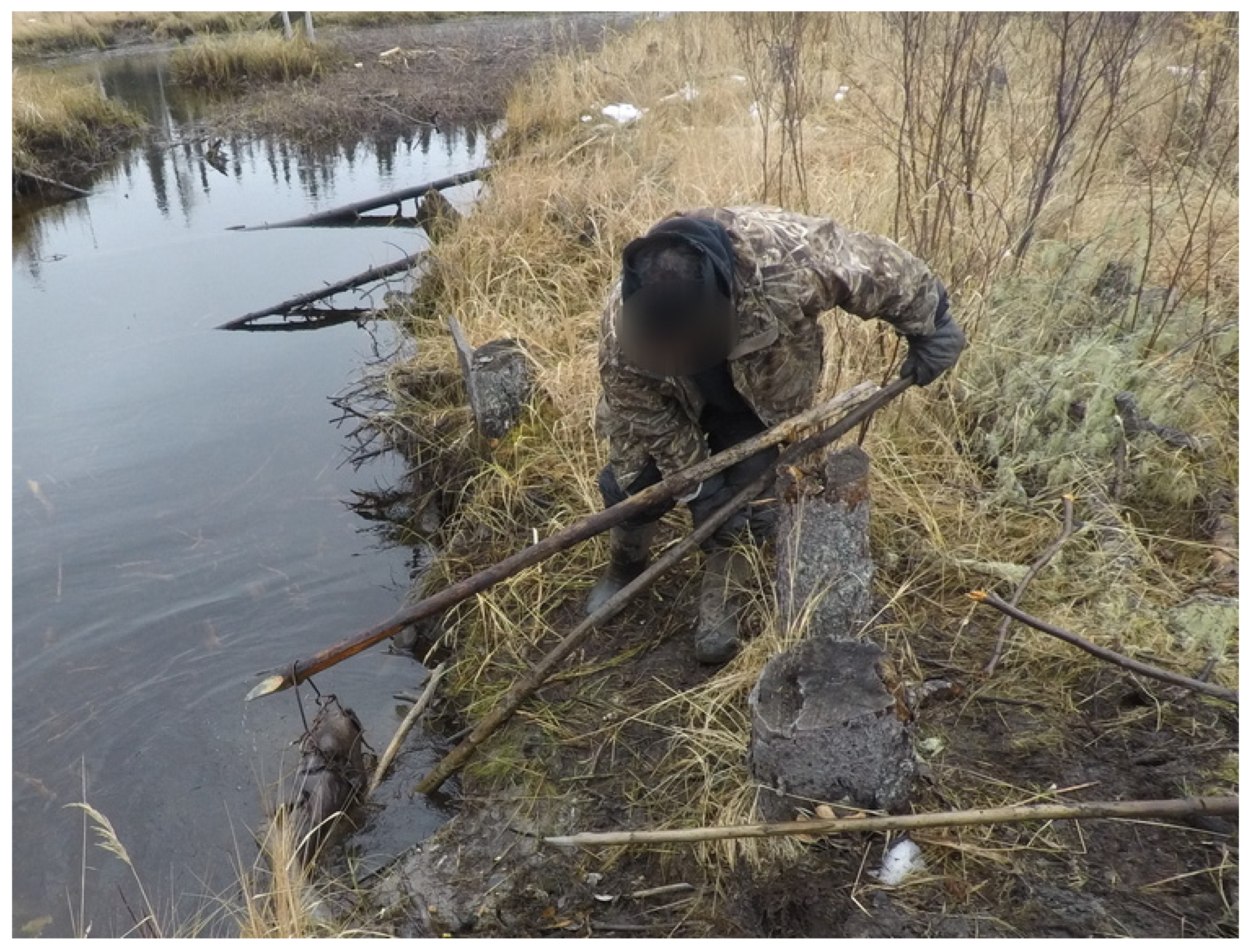 Ijerph 19 07335 g010