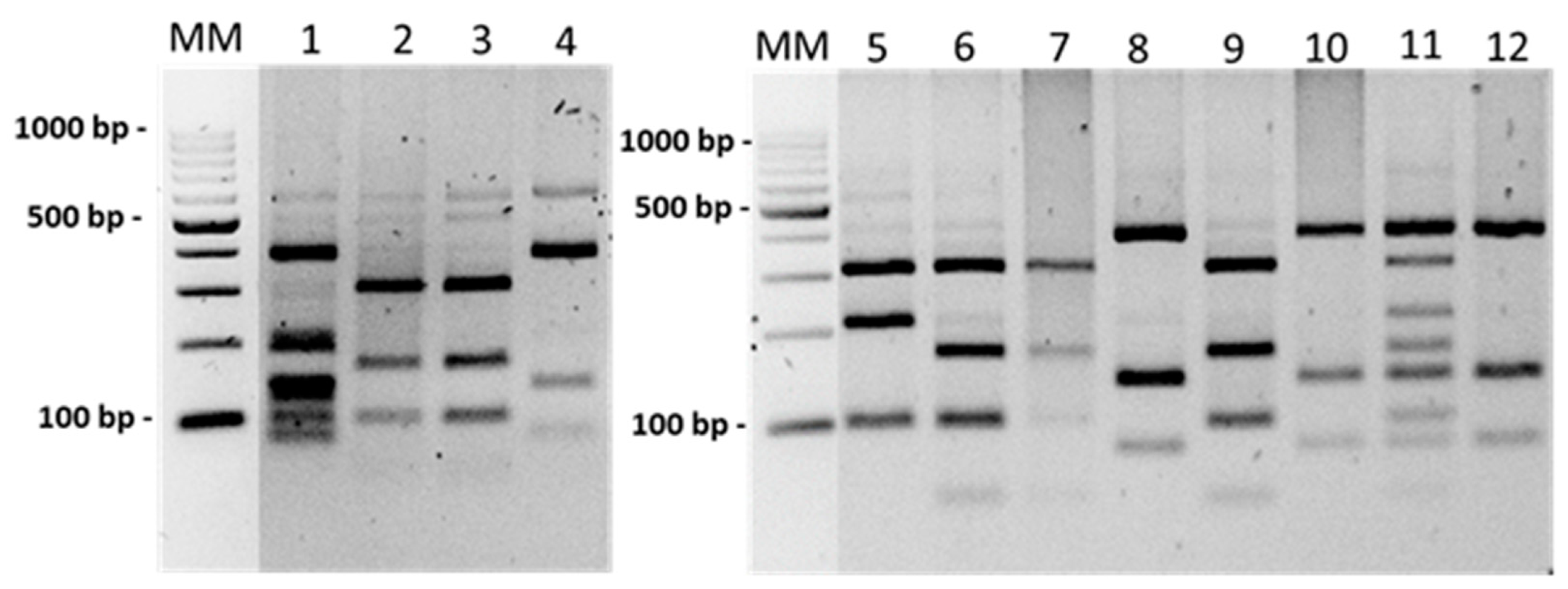 Ijerph 19 07378 g004