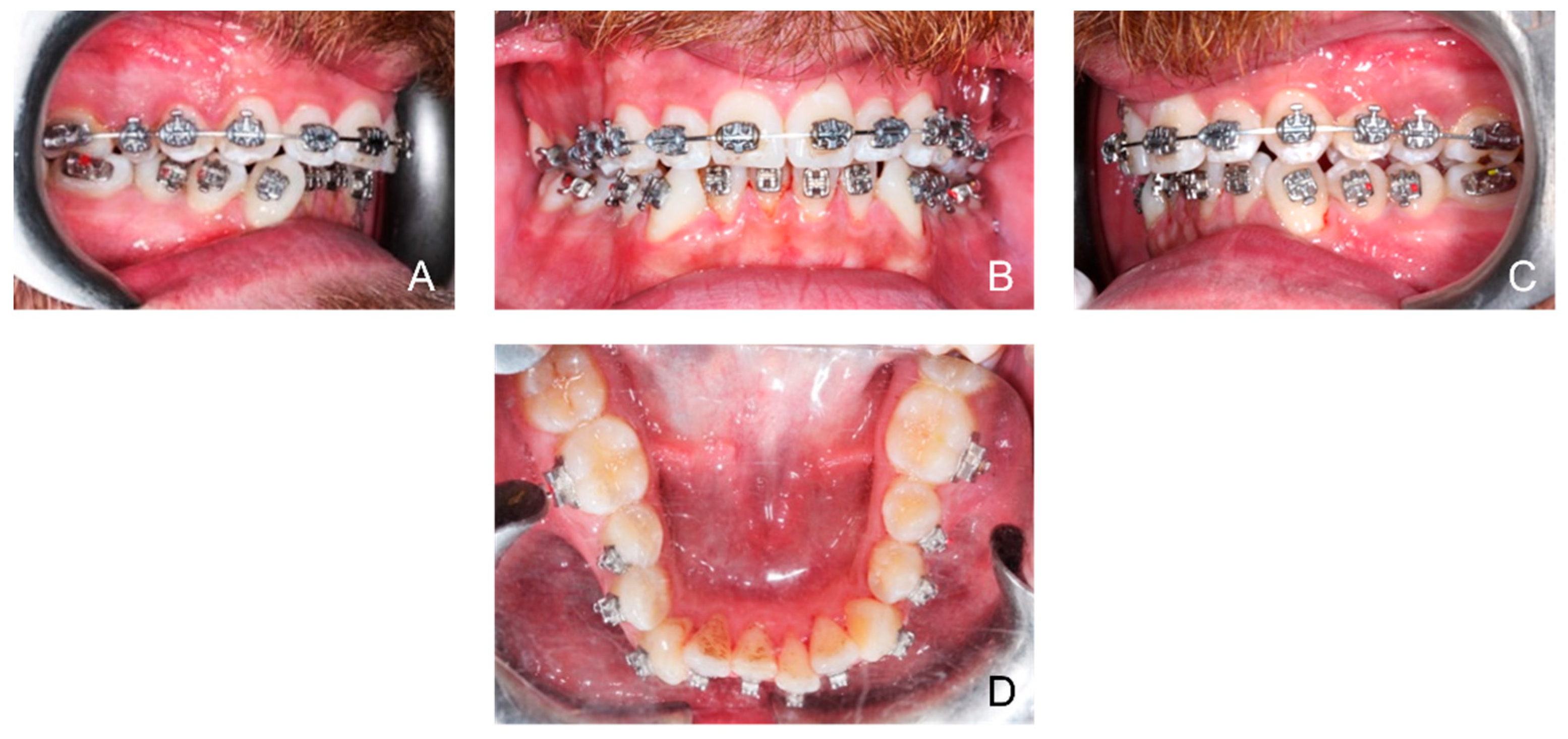 Ijerph 19 07448 g001