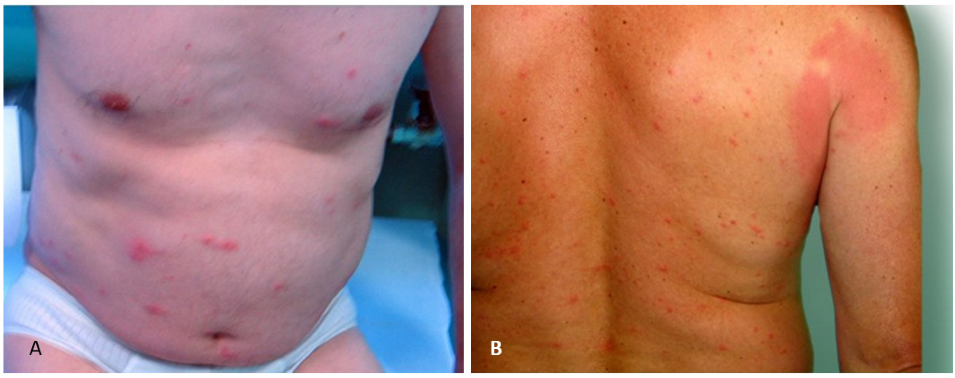 Ijerph 19 07610 g004