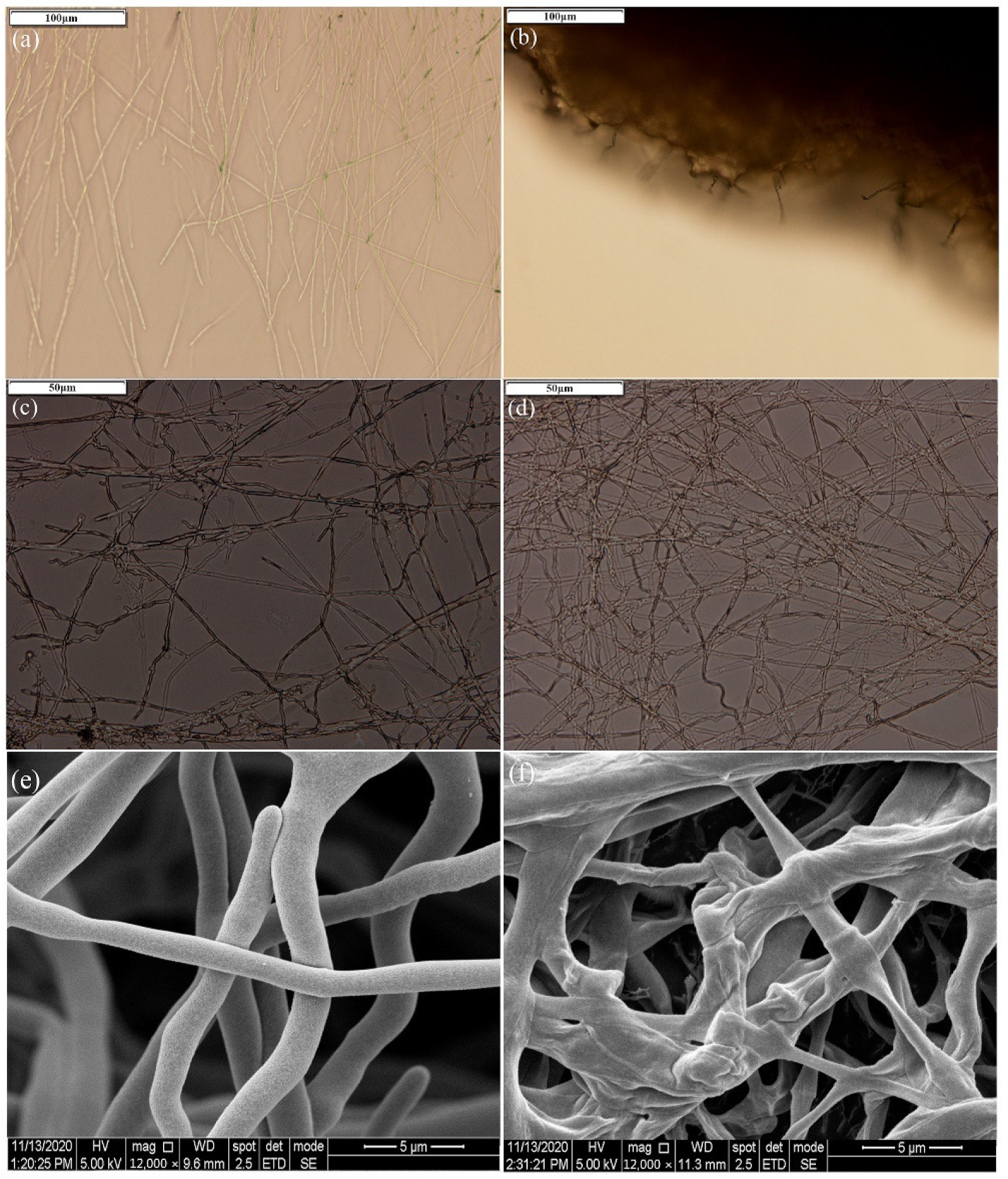 Ijerph 19 07630 g002