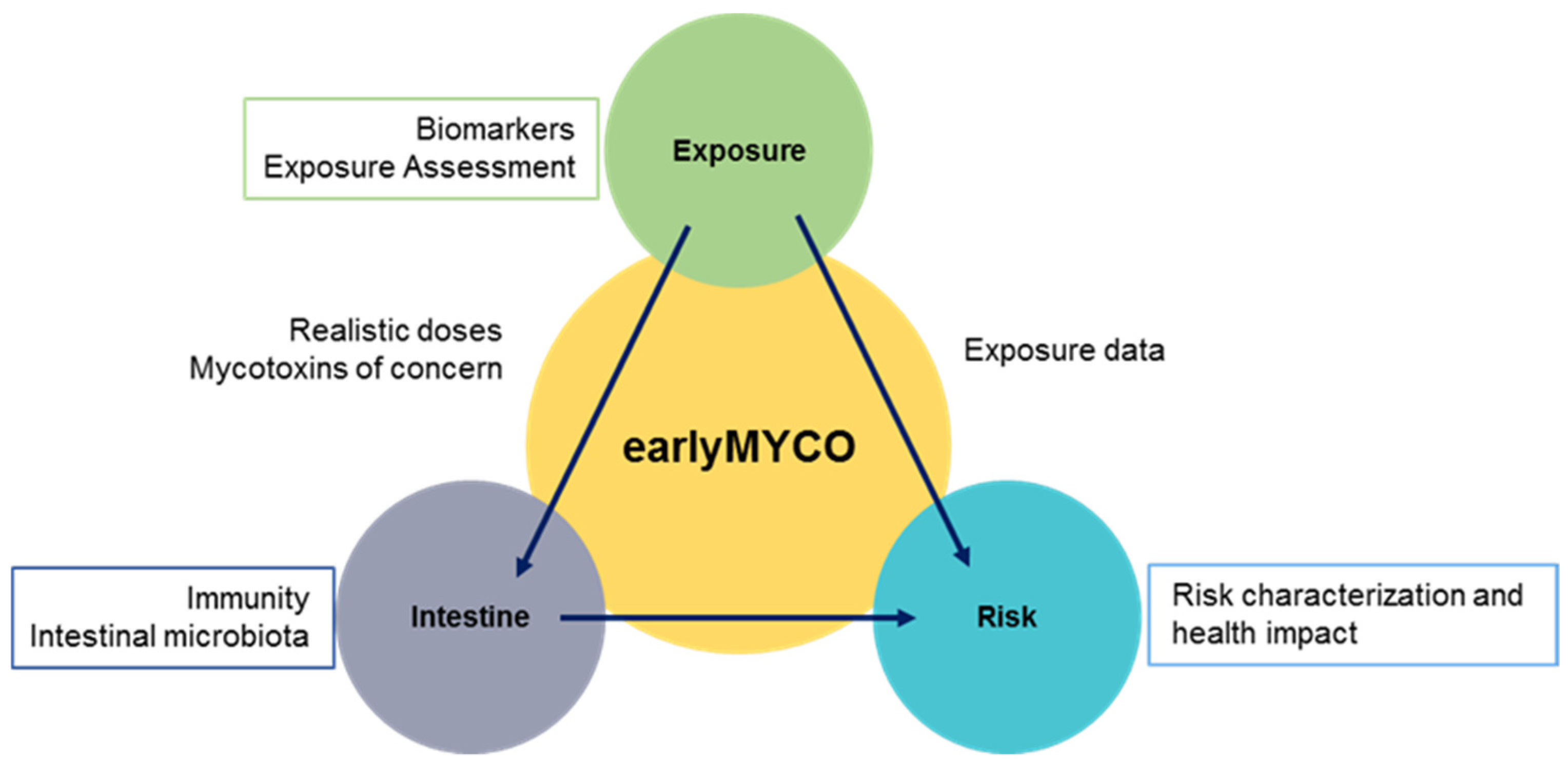 Ijerph 19 07716 g001