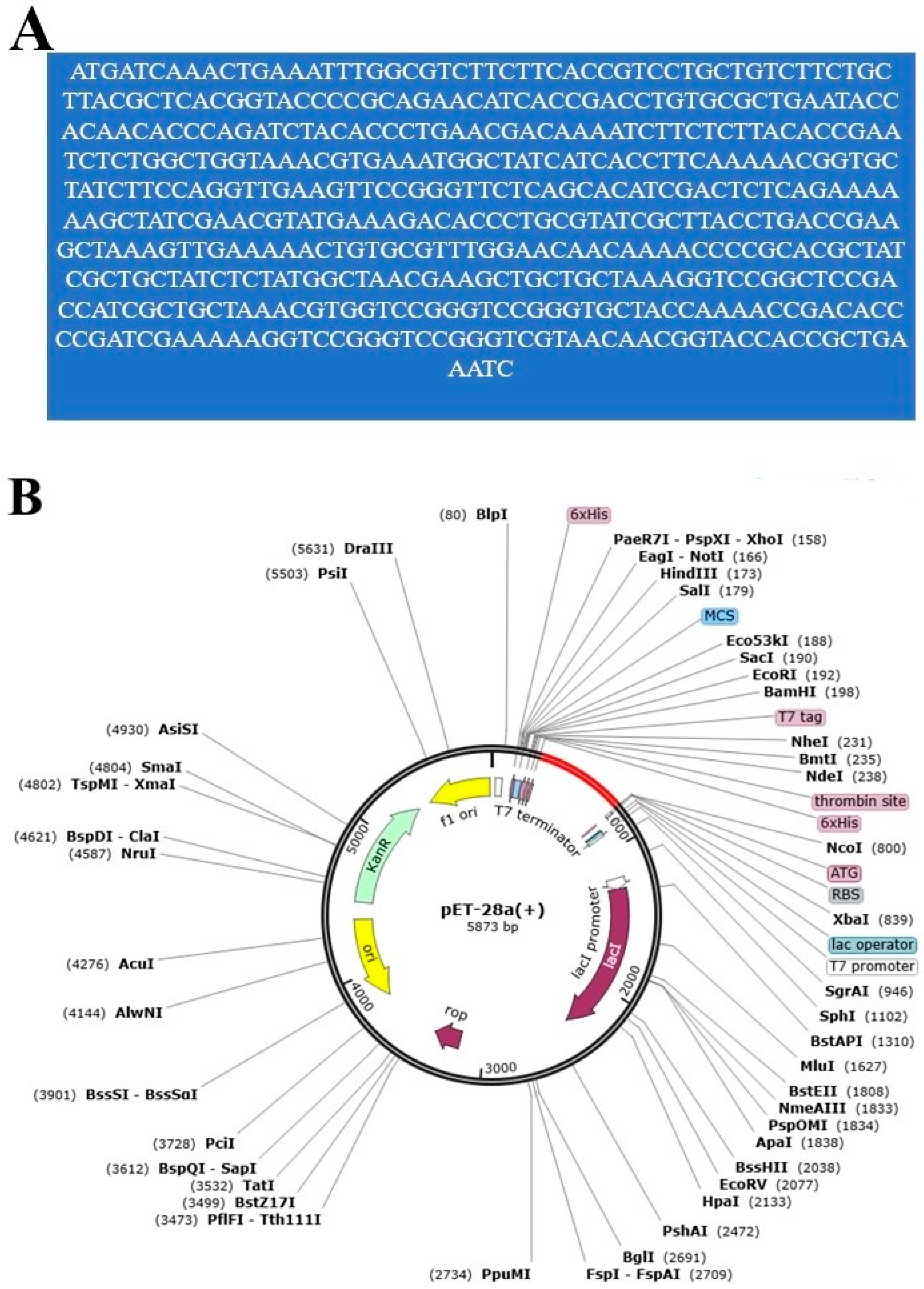 Ijerph 19 07723 g010