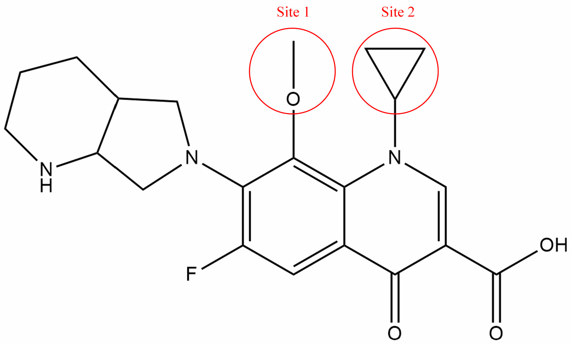 Ijerph 19 07766 g002