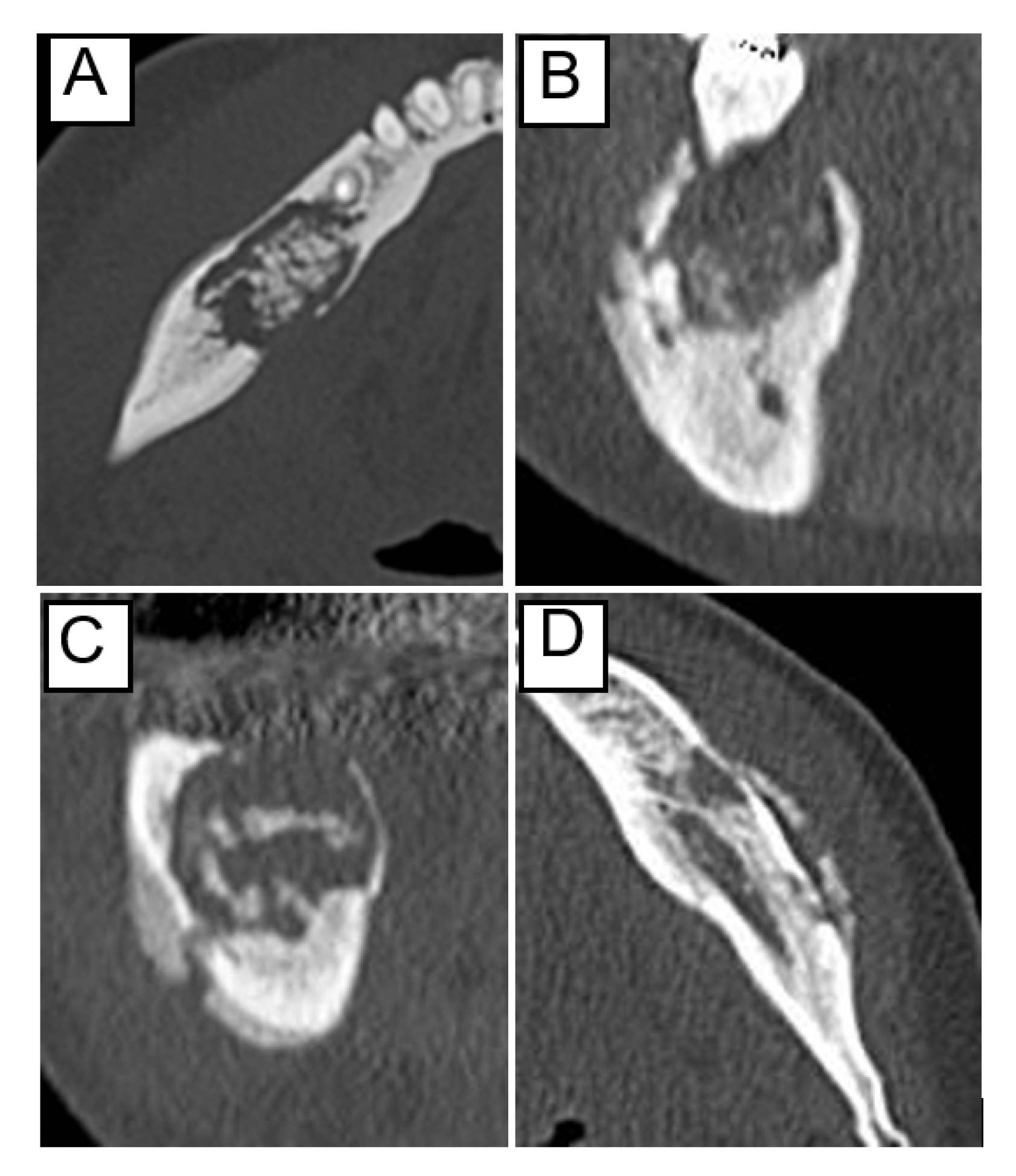 Ijerph 19 07854 g001