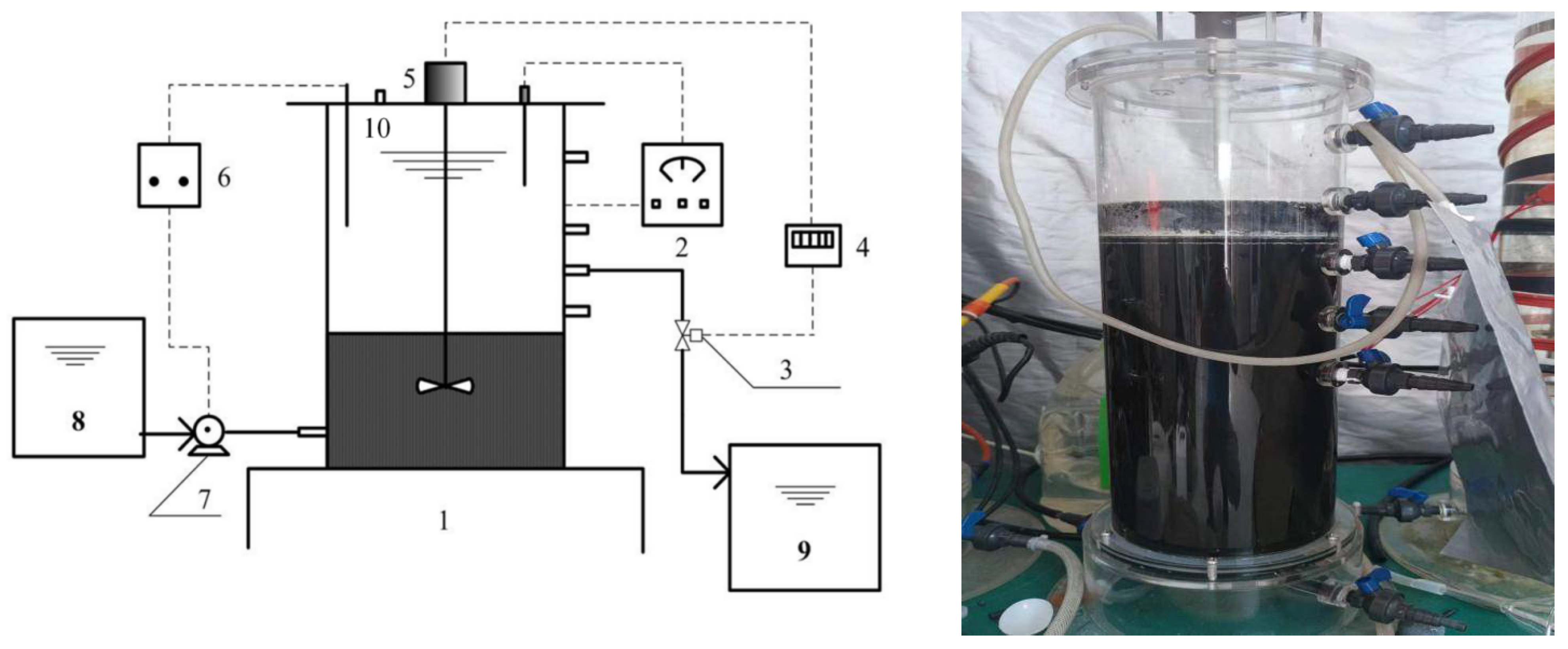 Ijerph 19 07858 g001