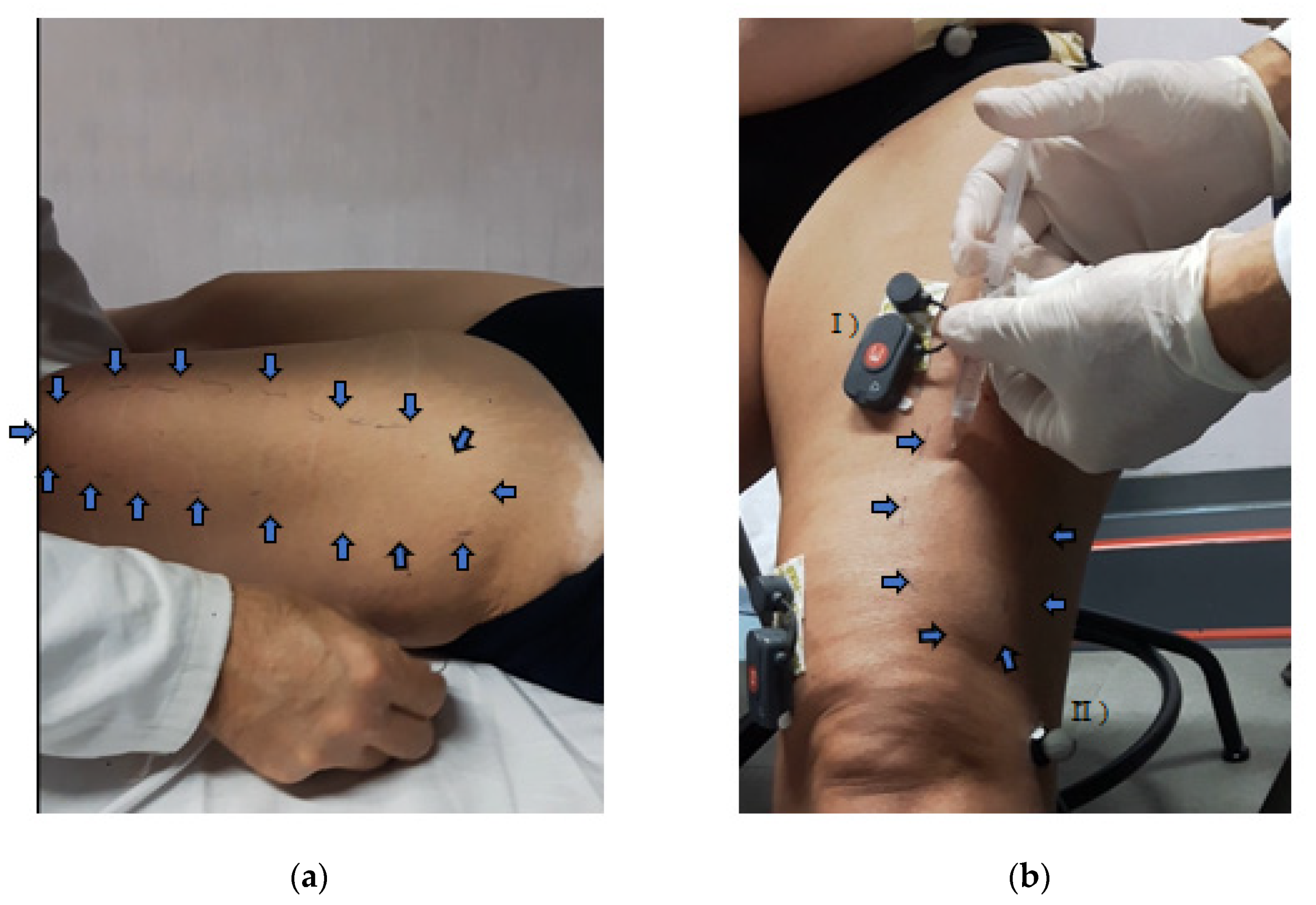 Ijerph 19 07872 g001