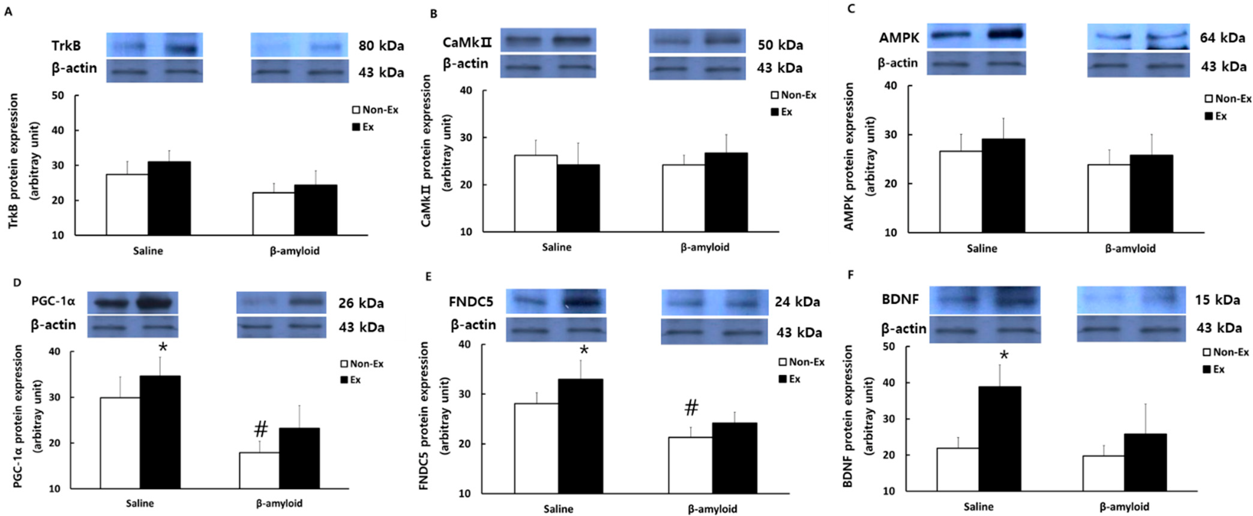 Ijerph 19 07921 g007 Ijerph 19 07921 g007