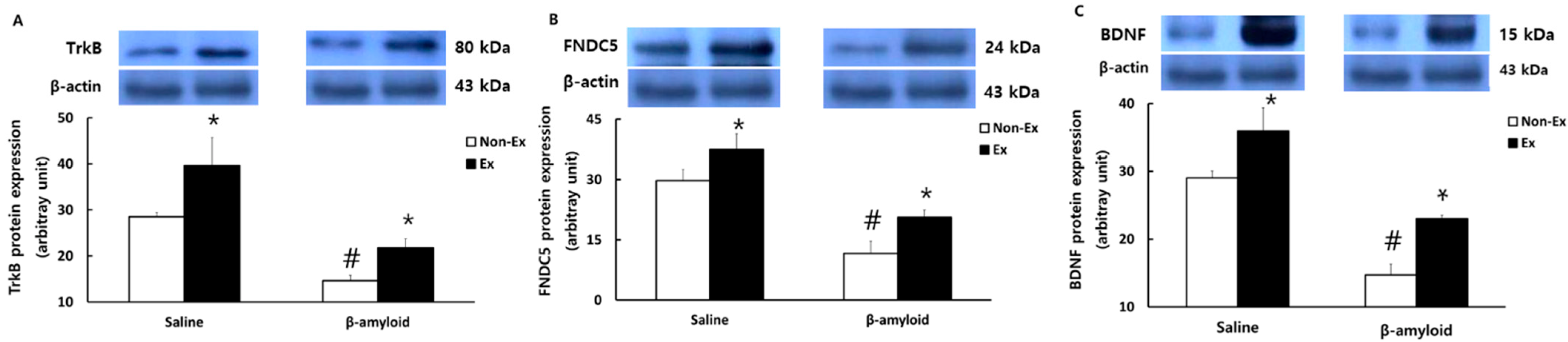Ijerph 19 07921 g008 Ijerph 19 07921 g008