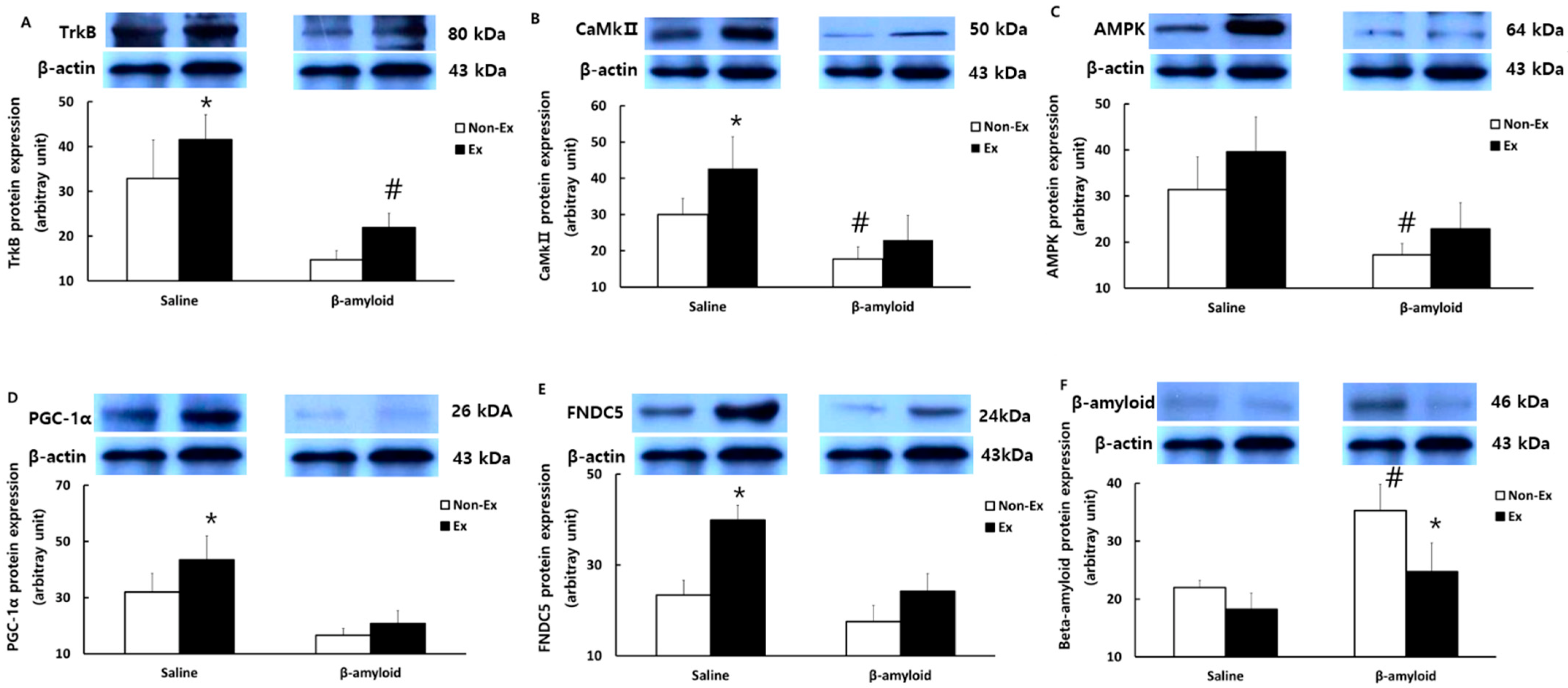 Ijerph 19 07921 g009 Ijerph 19 07921 g009