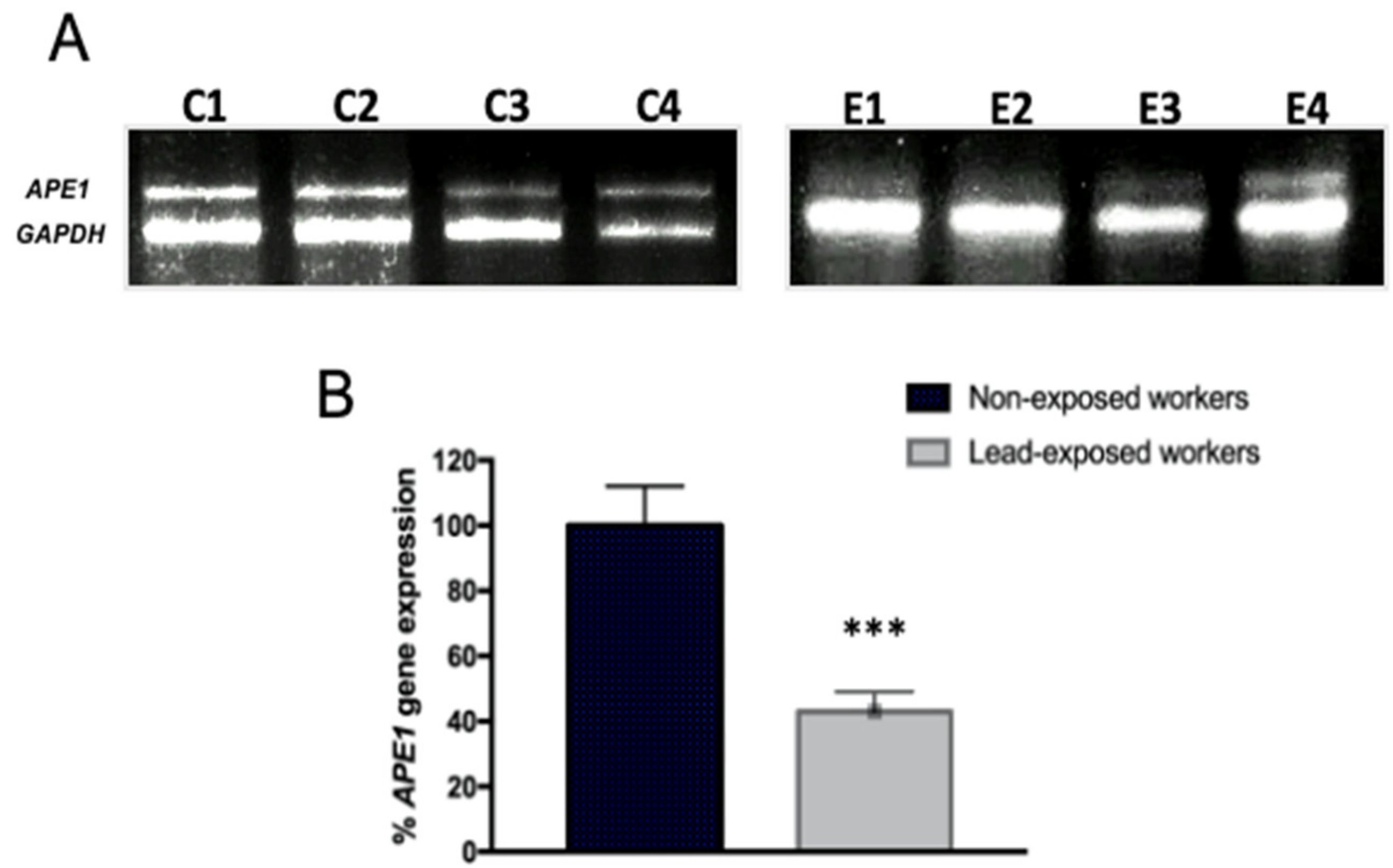 Ijerph 19 07961 g002