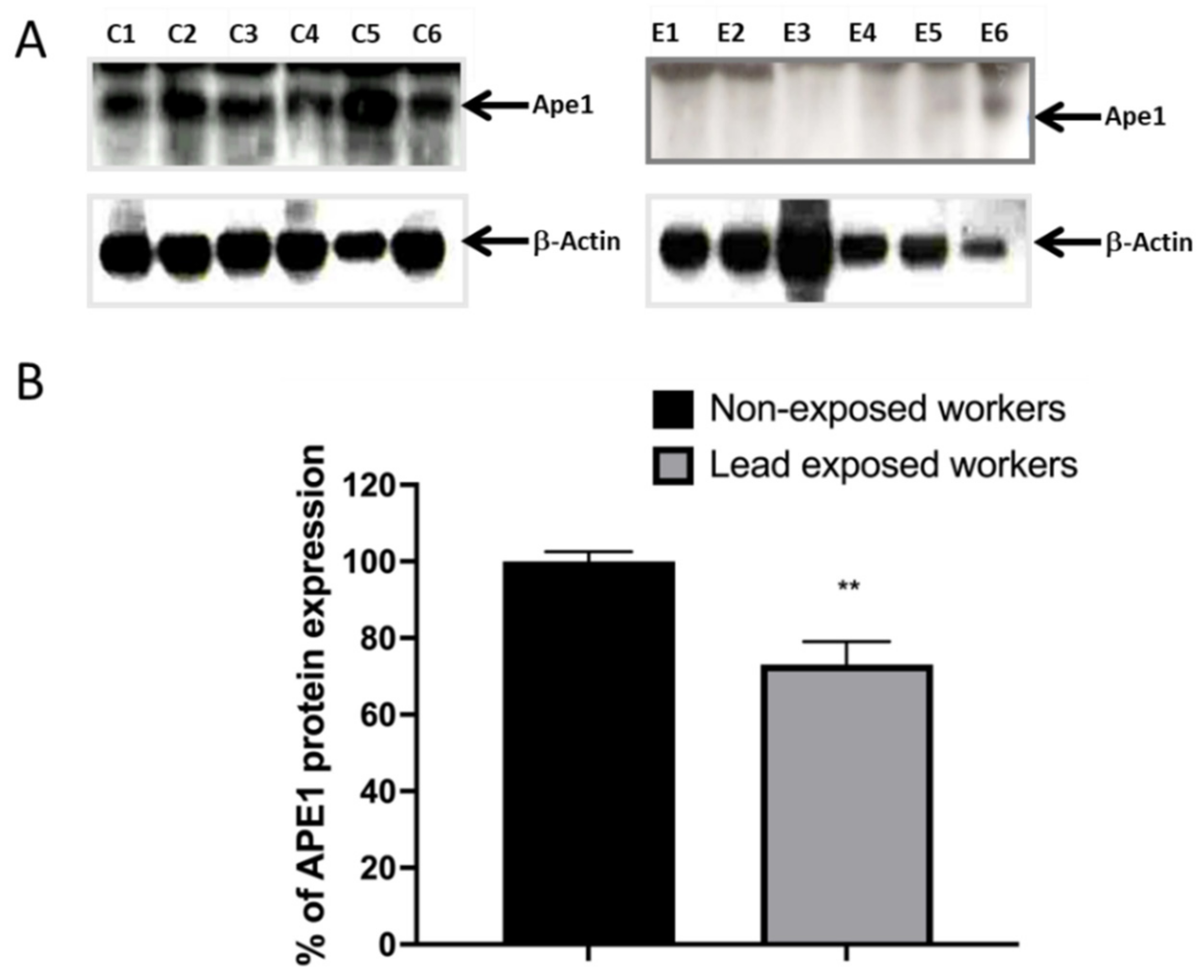 Ijerph 19 07961 g003