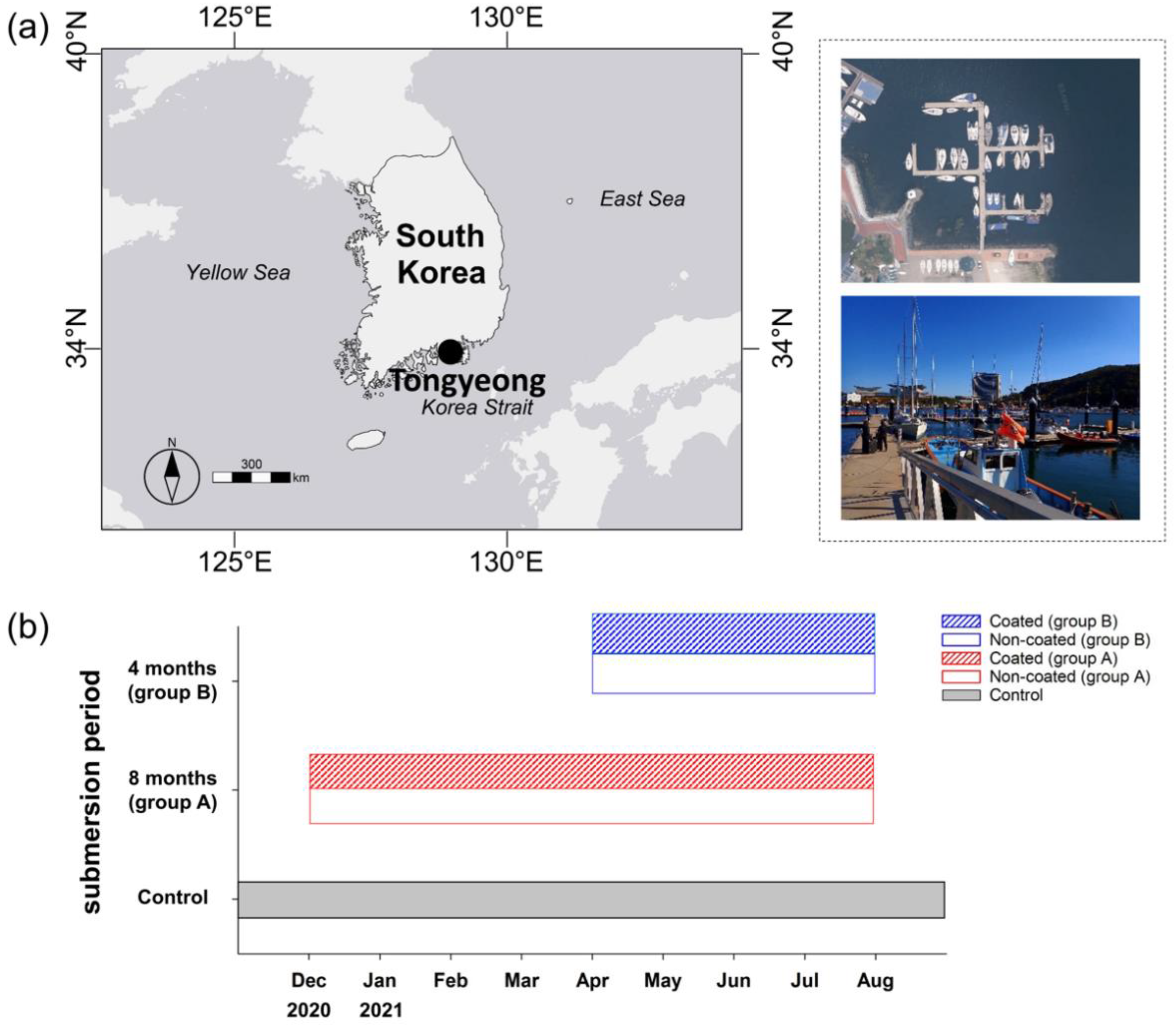 Ijerph 19 07973 g001