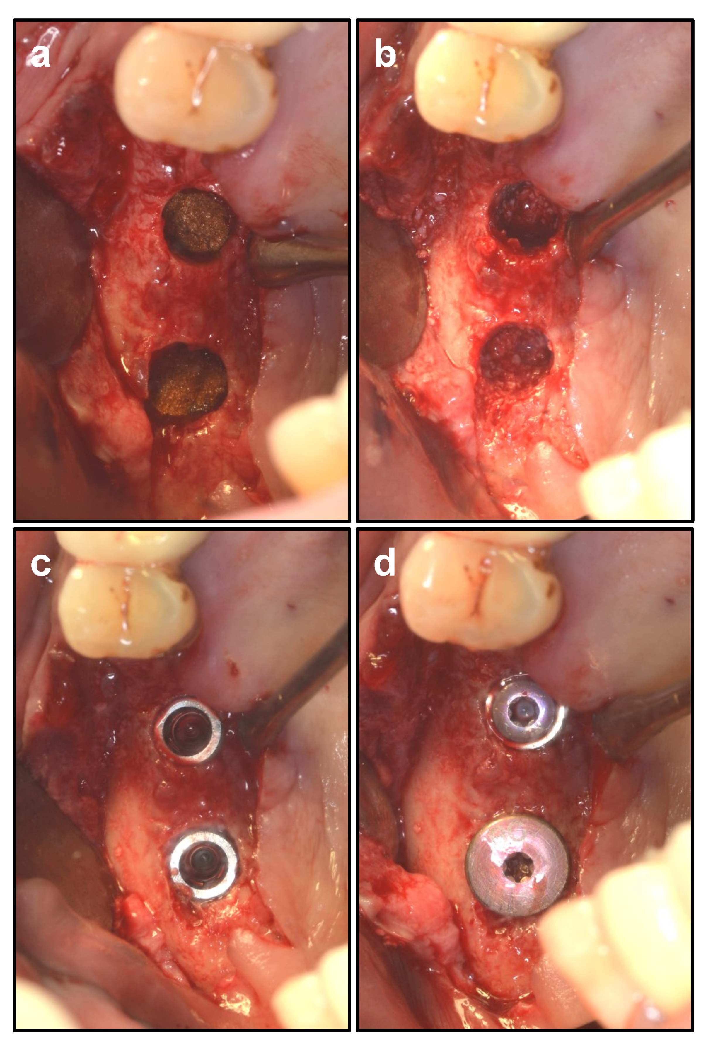 Ijerph 19 08019 g004