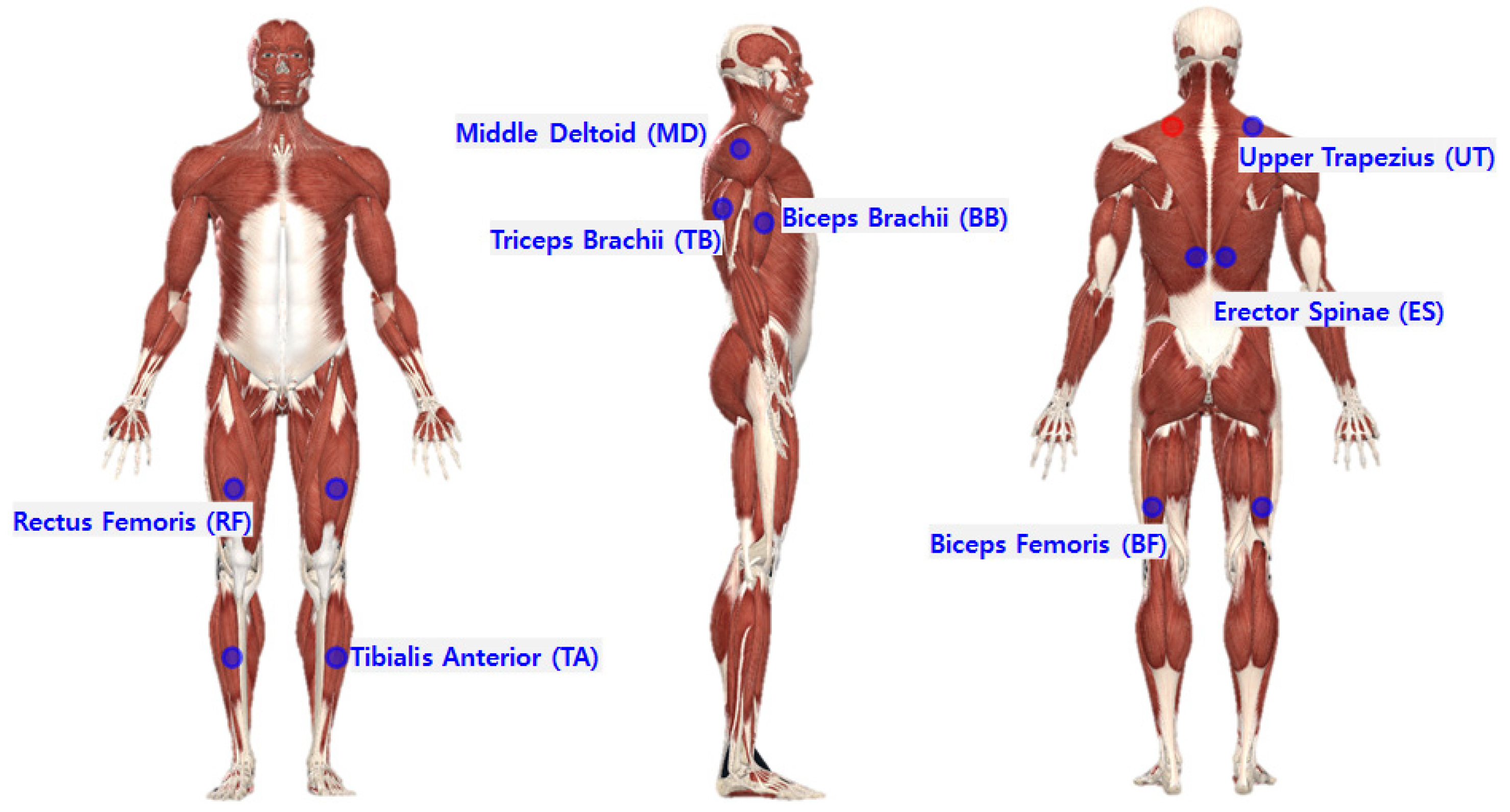 Ijerph 19 08088 g002