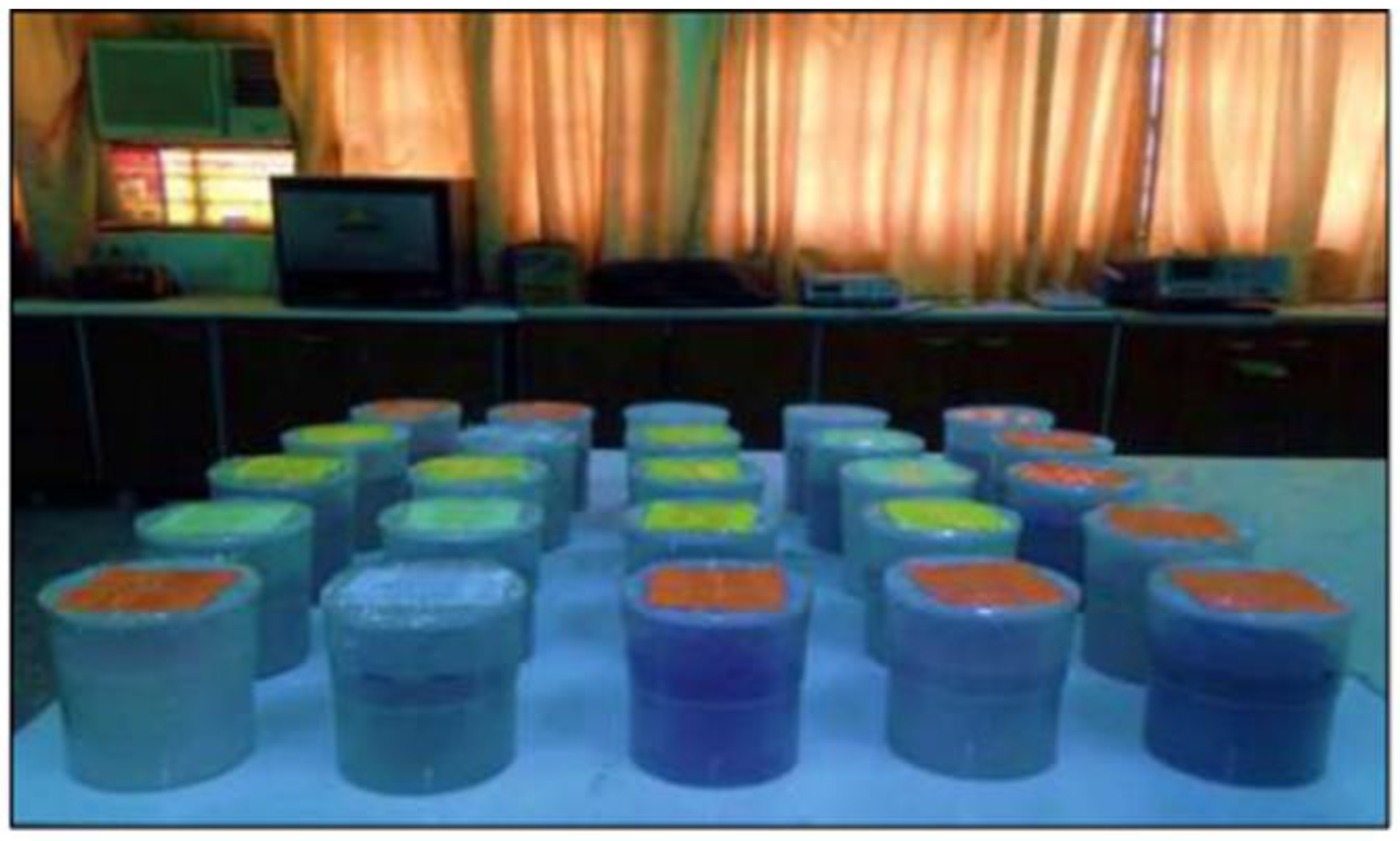 Ijerph 19 08124 g001