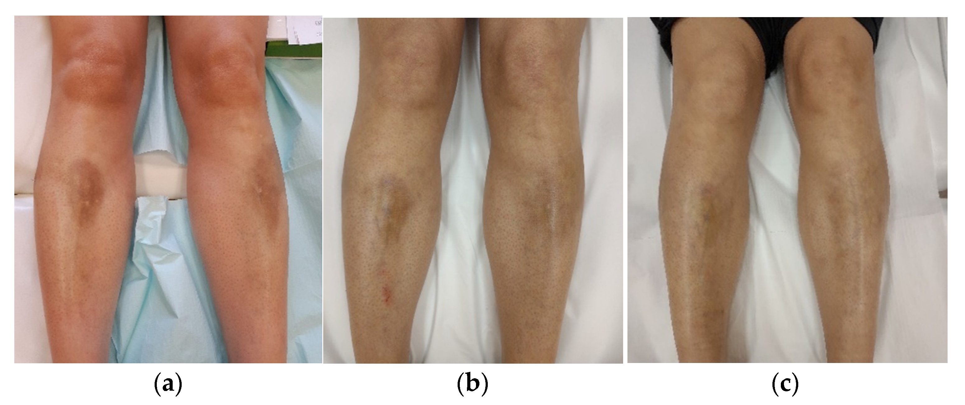 Ijerph 19 08133 g003