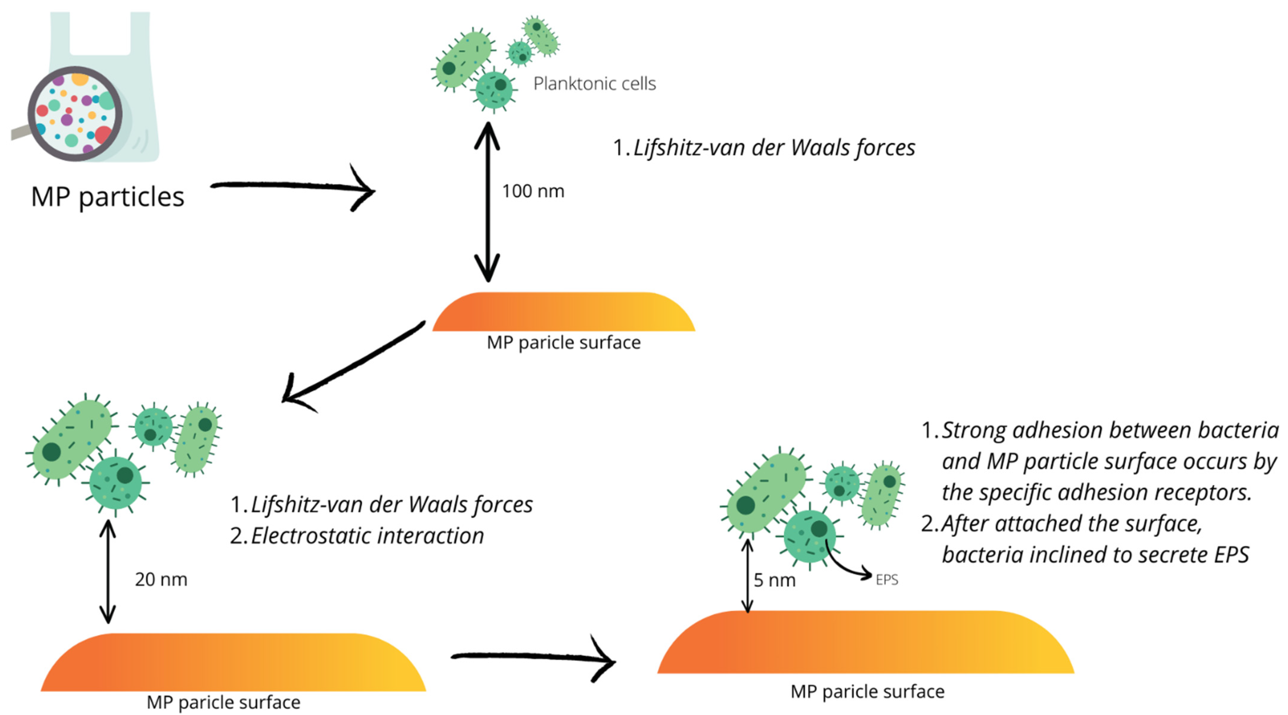 Ijerph 19 08137 g003