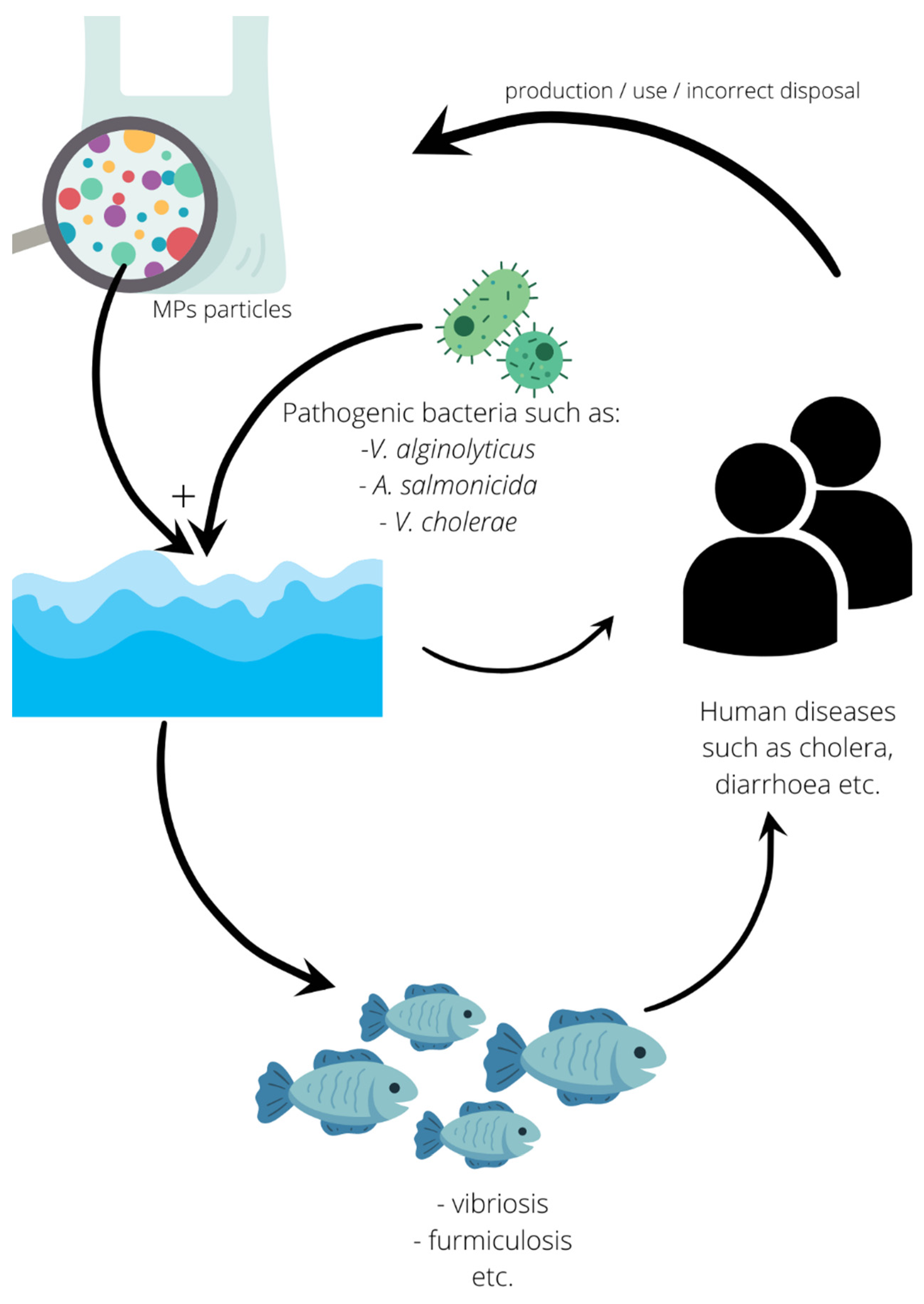 Ijerph 19 08137 g004