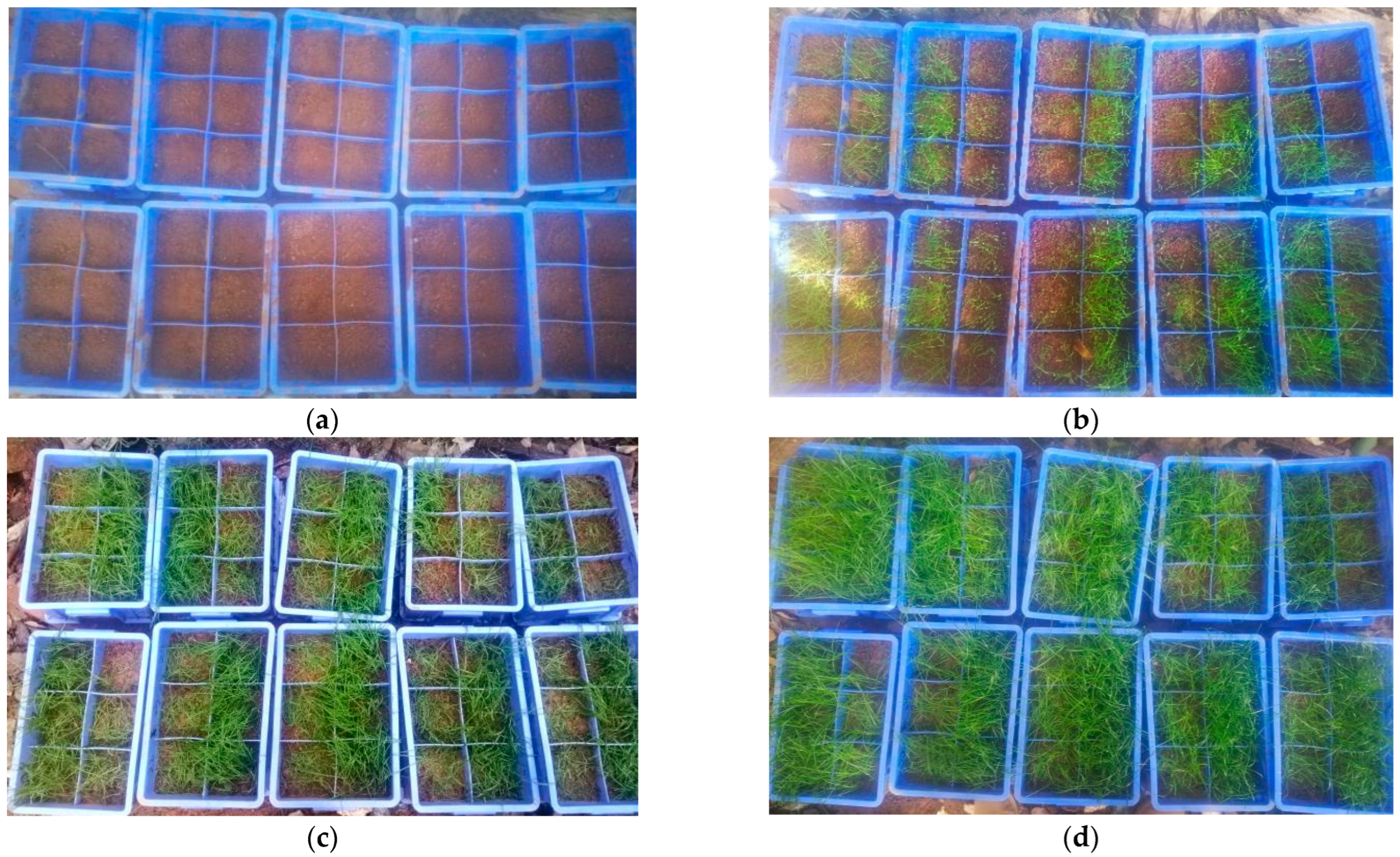 Ijerph 19 08143 g003