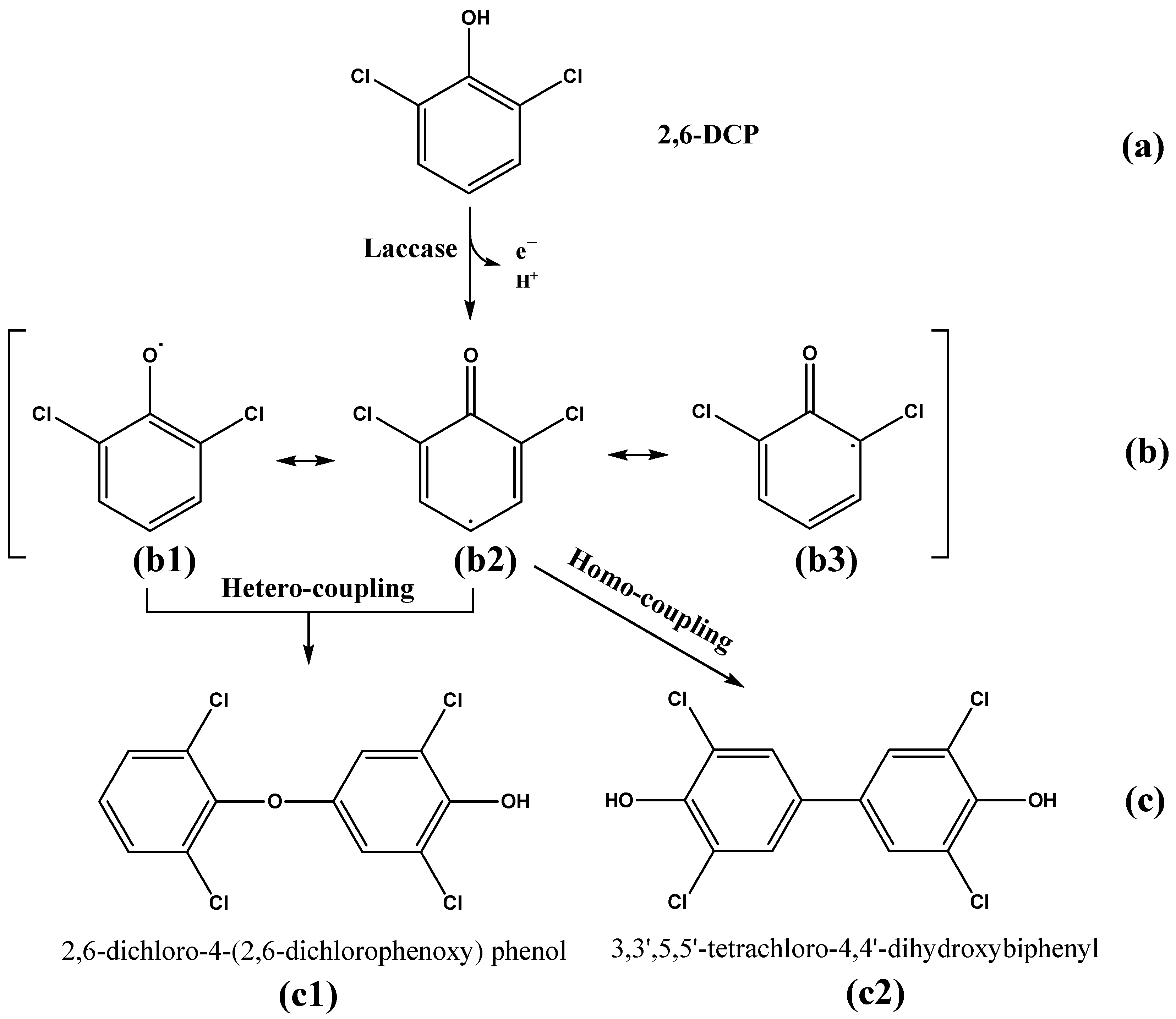 Ijerph 19 08150 g012