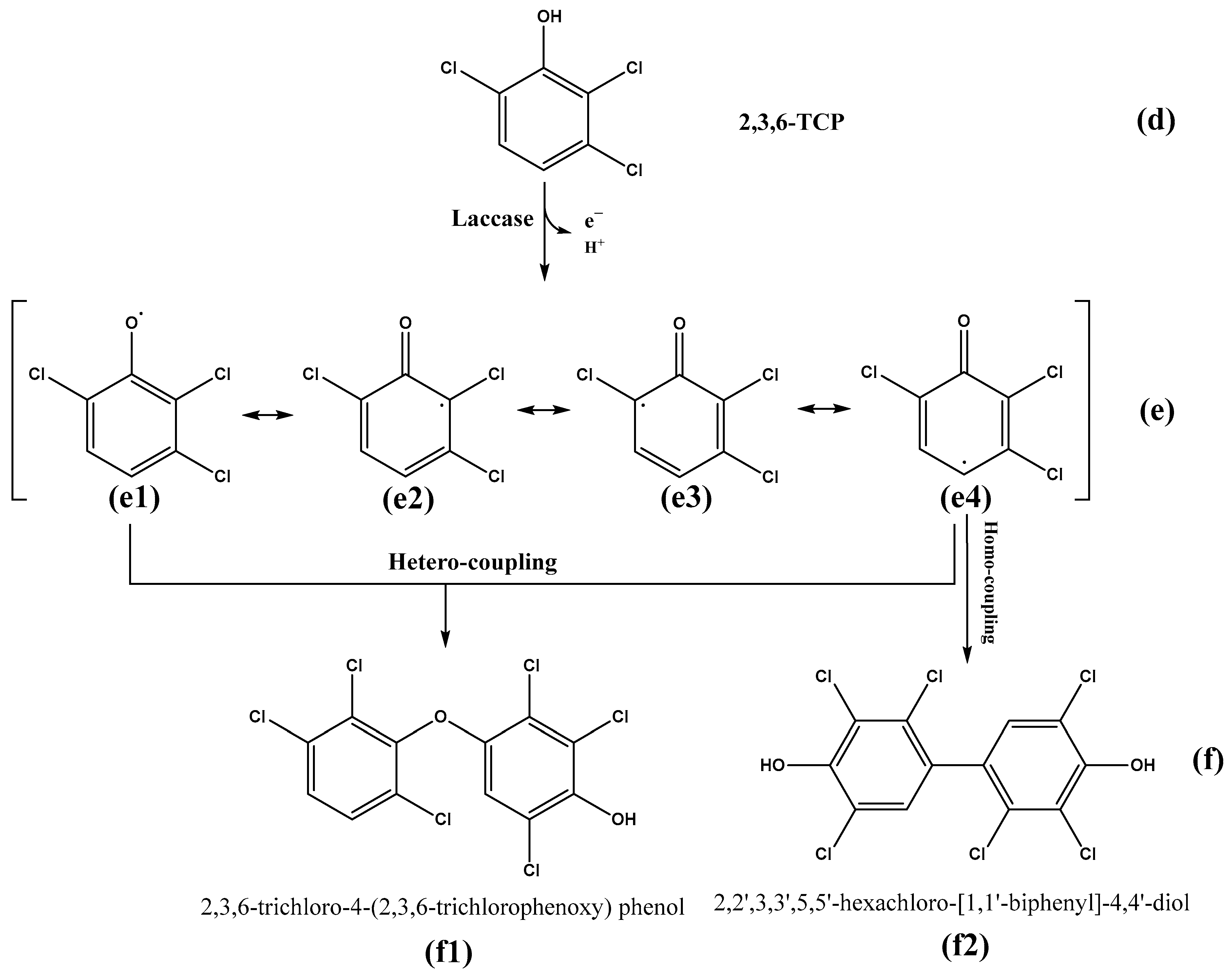 Ijerph 19 08150 g016