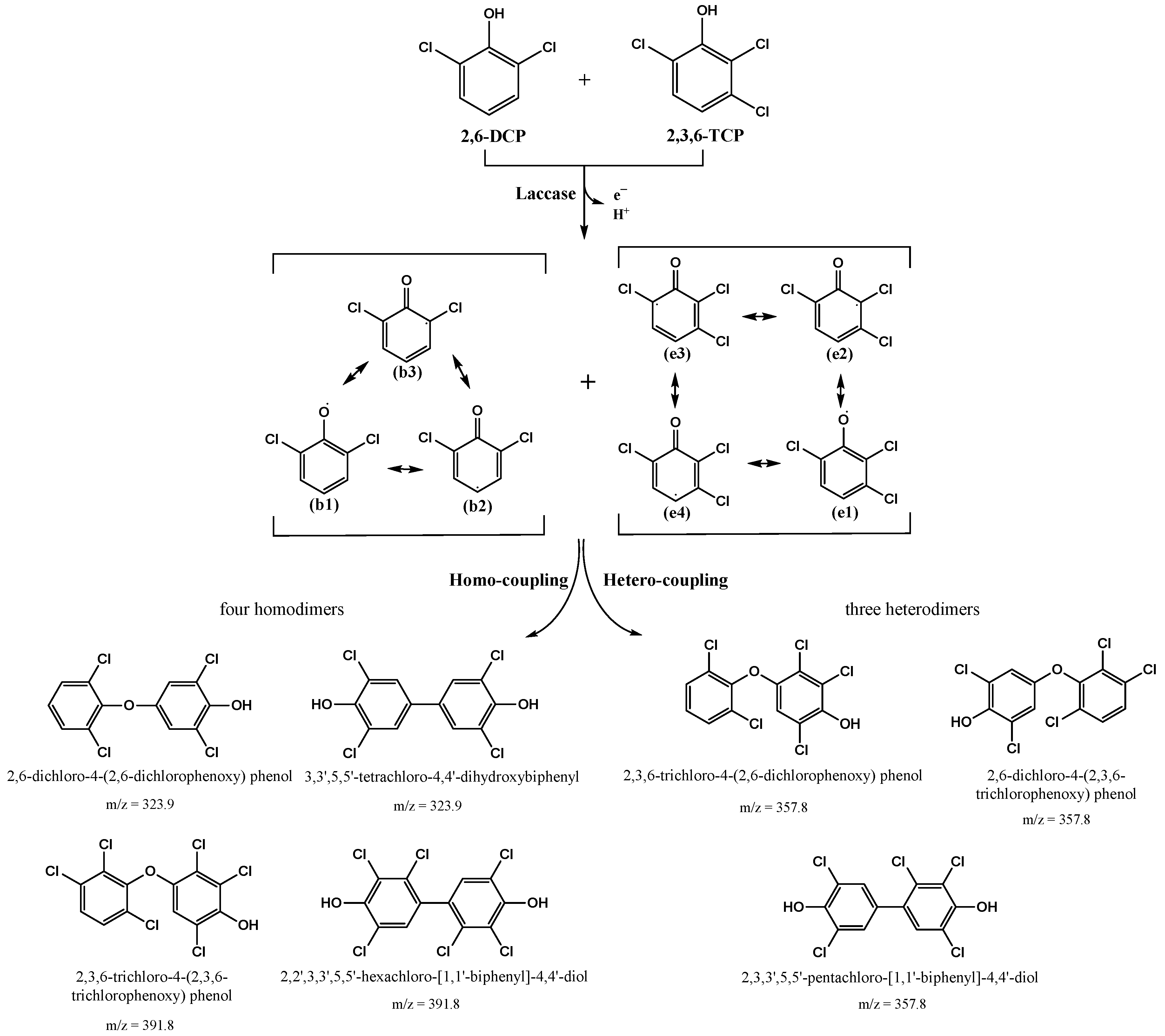 Ijerph 19 08150 g017