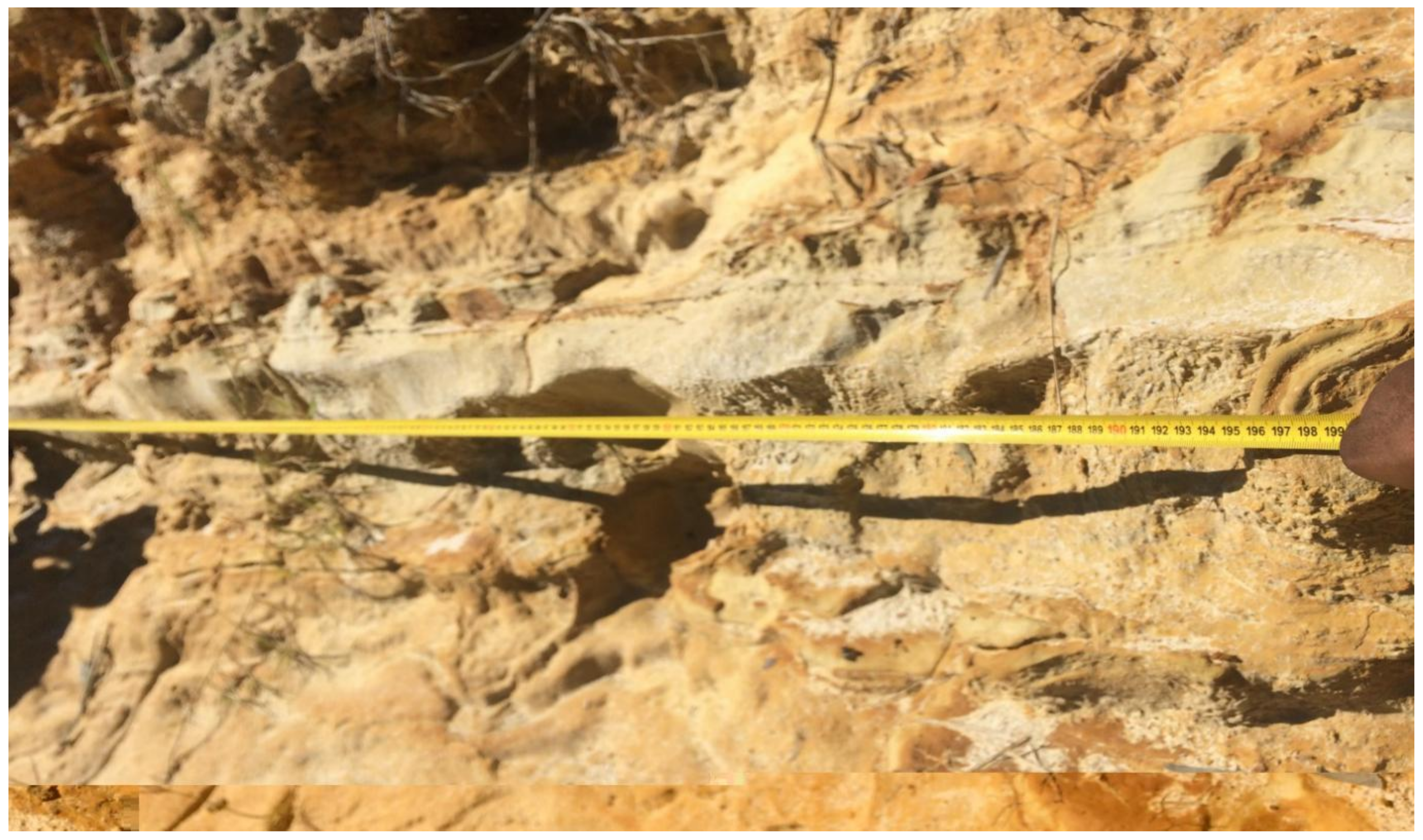 Ijerph 19 08201 g005