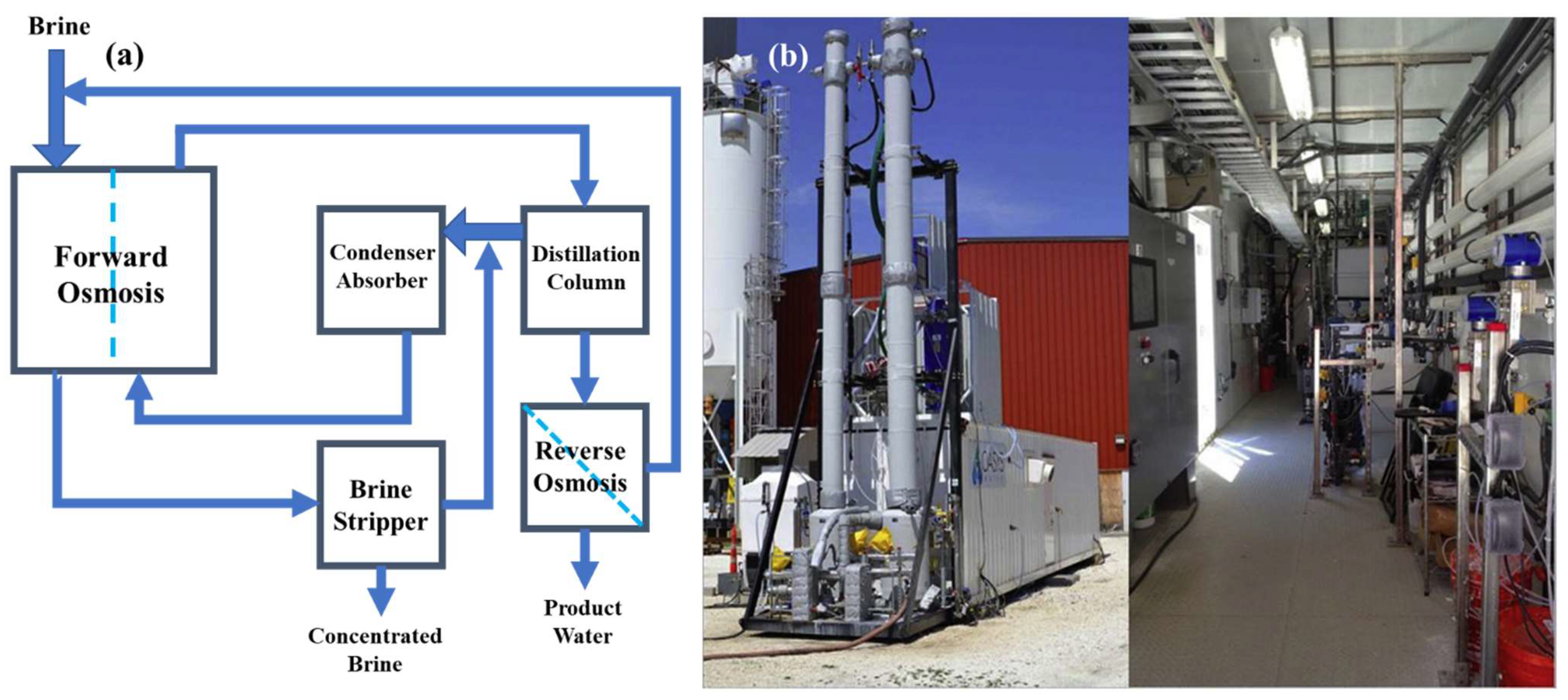 Ijerph 19 08215 g003