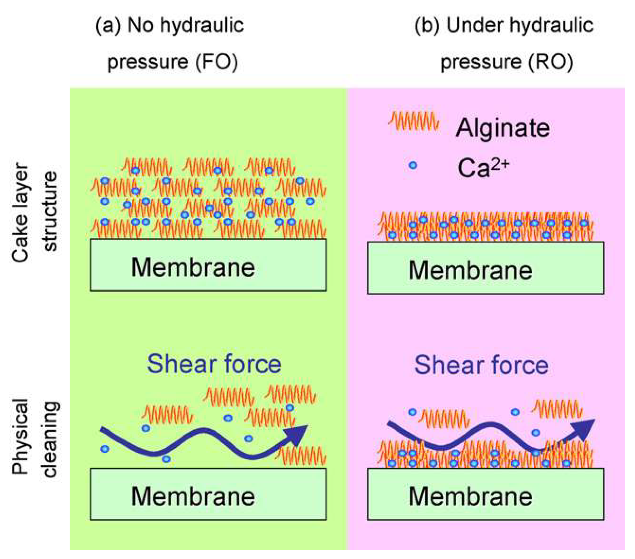 Ijerph 19 08215 g004