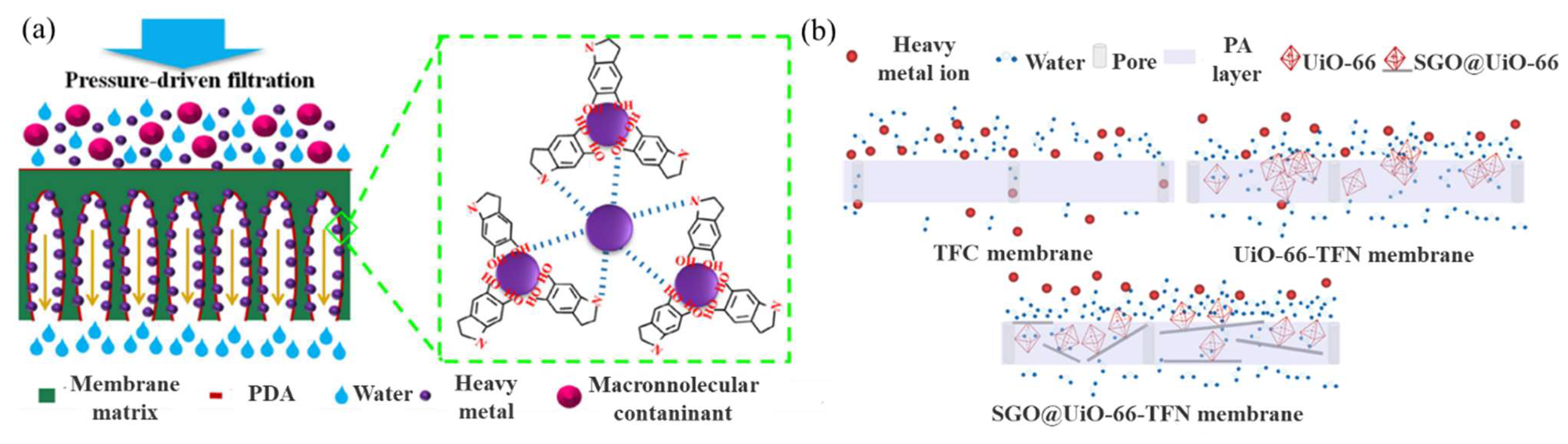 Ijerph 19 08215 g006