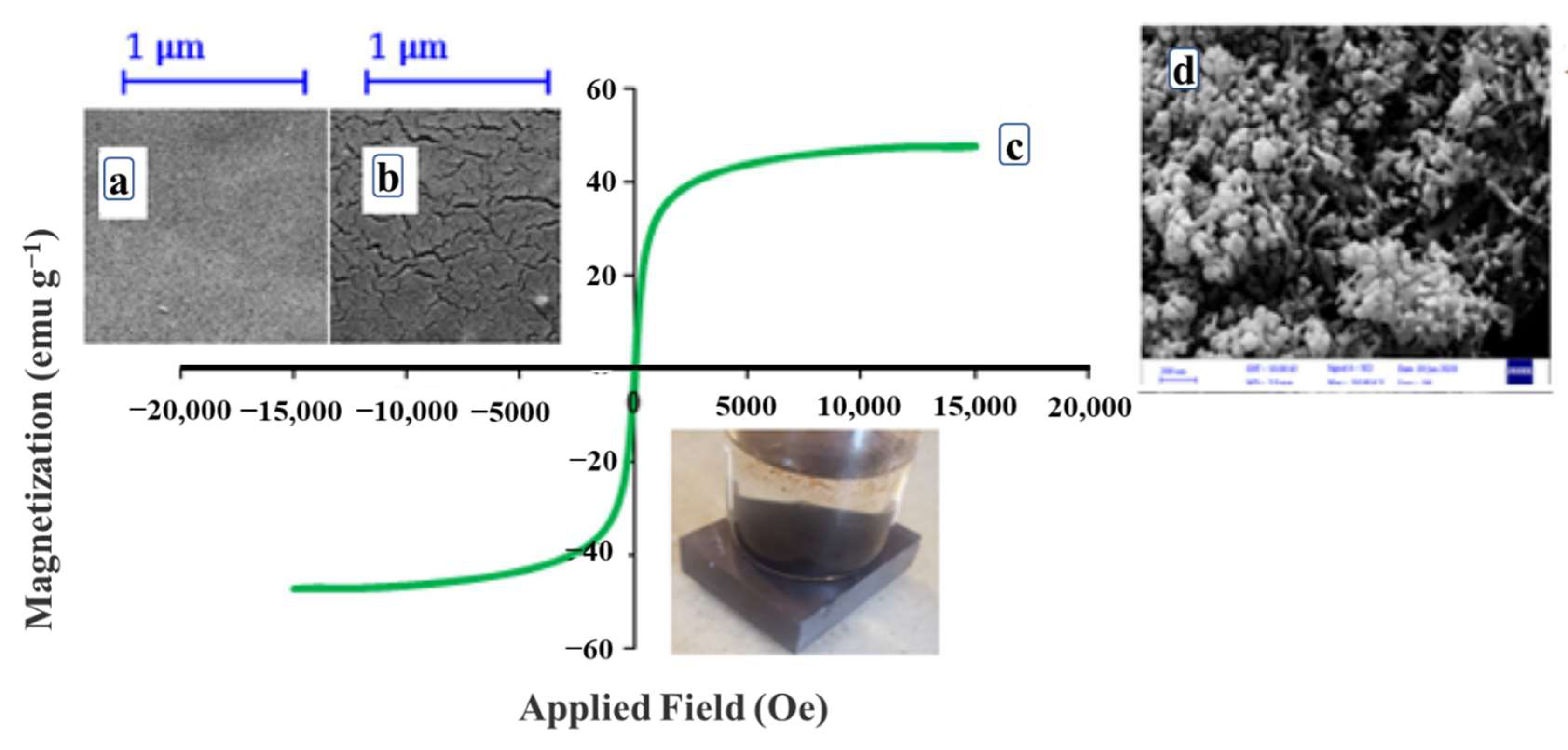 Ijerph 19 08215 g011