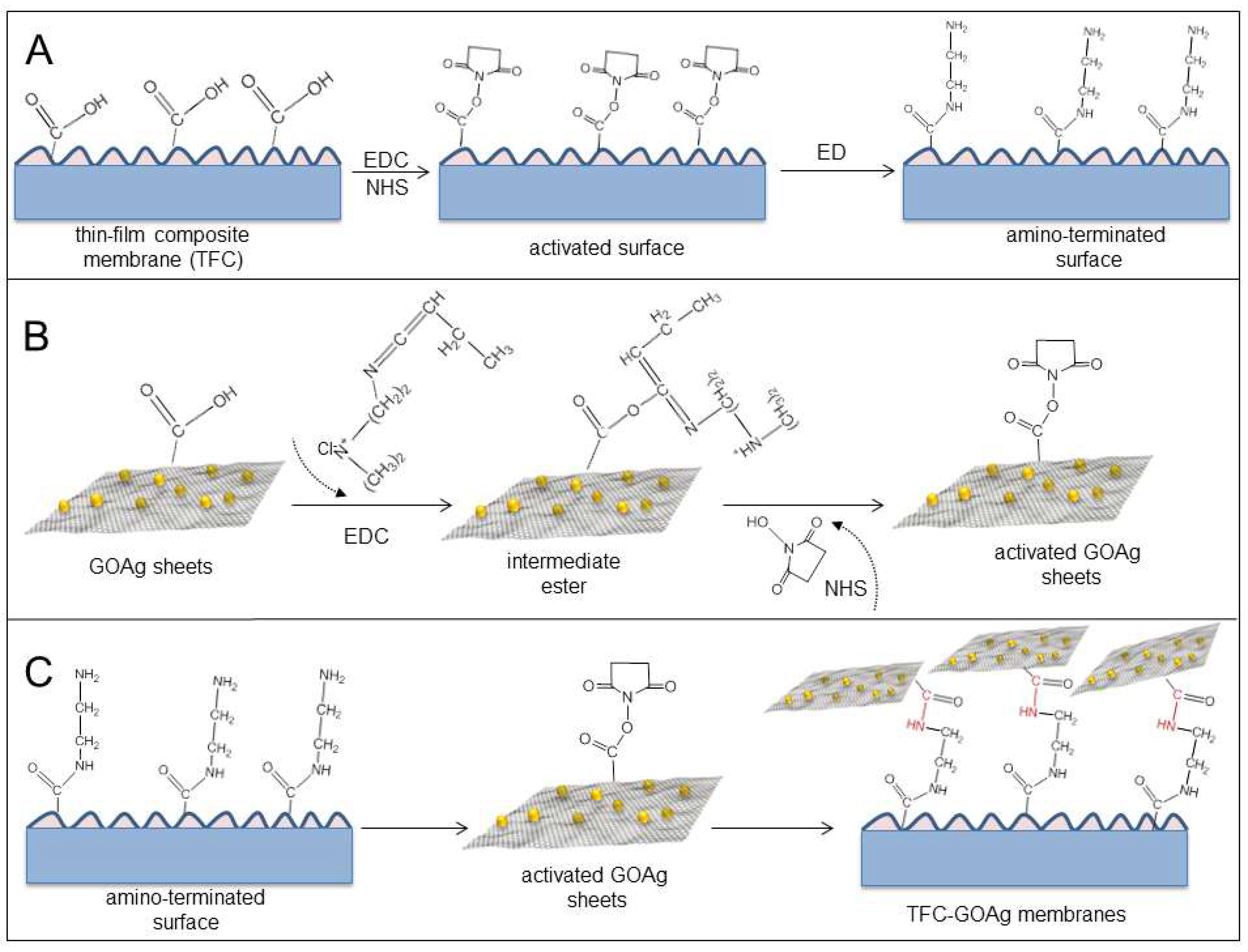 Ijerph 19 08215 g017