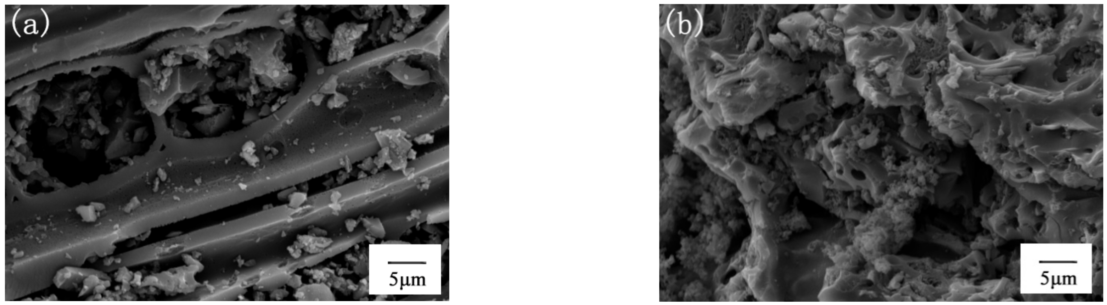 Ijerph 19 08290 g001