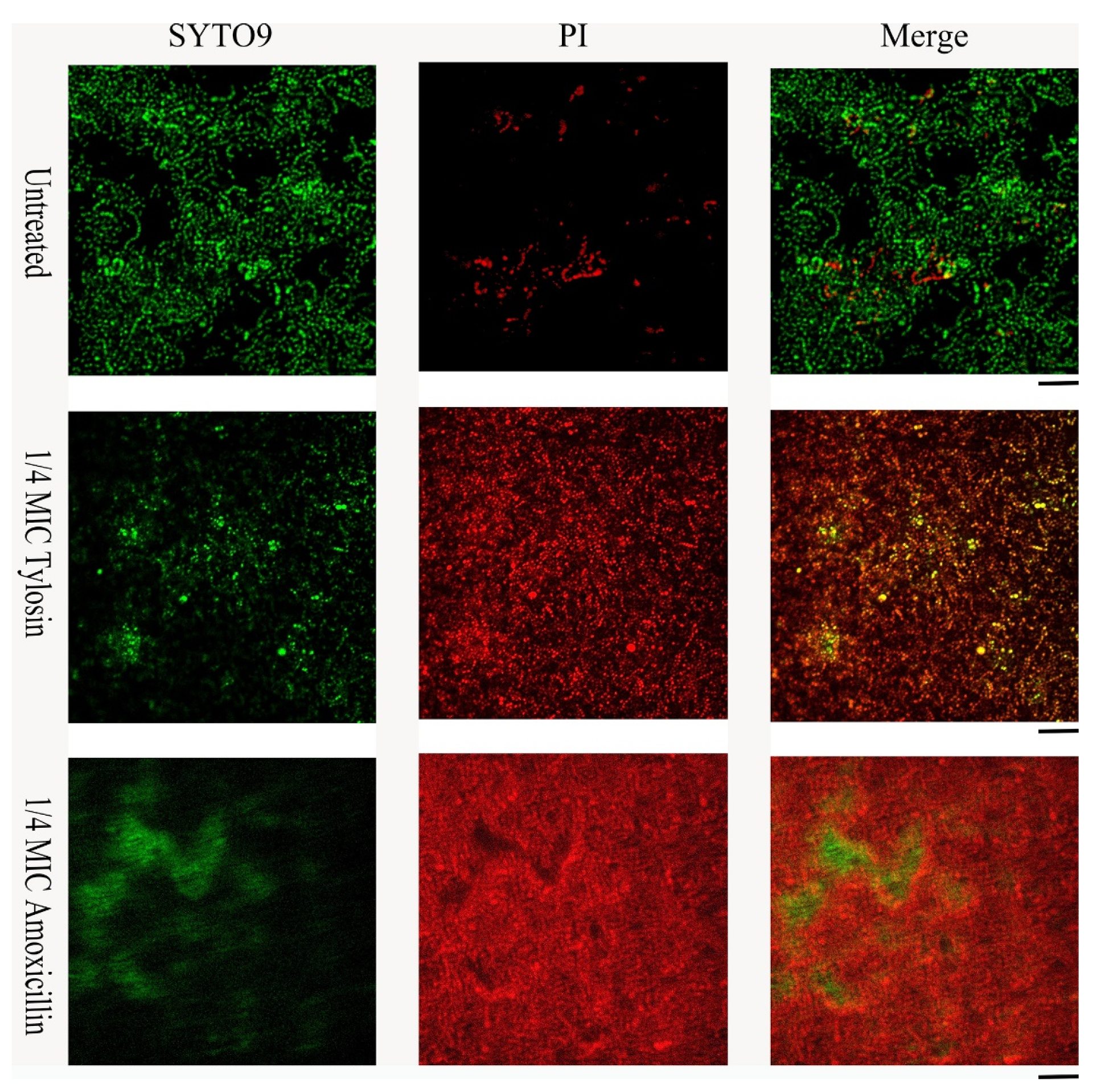 Ijerph 19 08359 g003