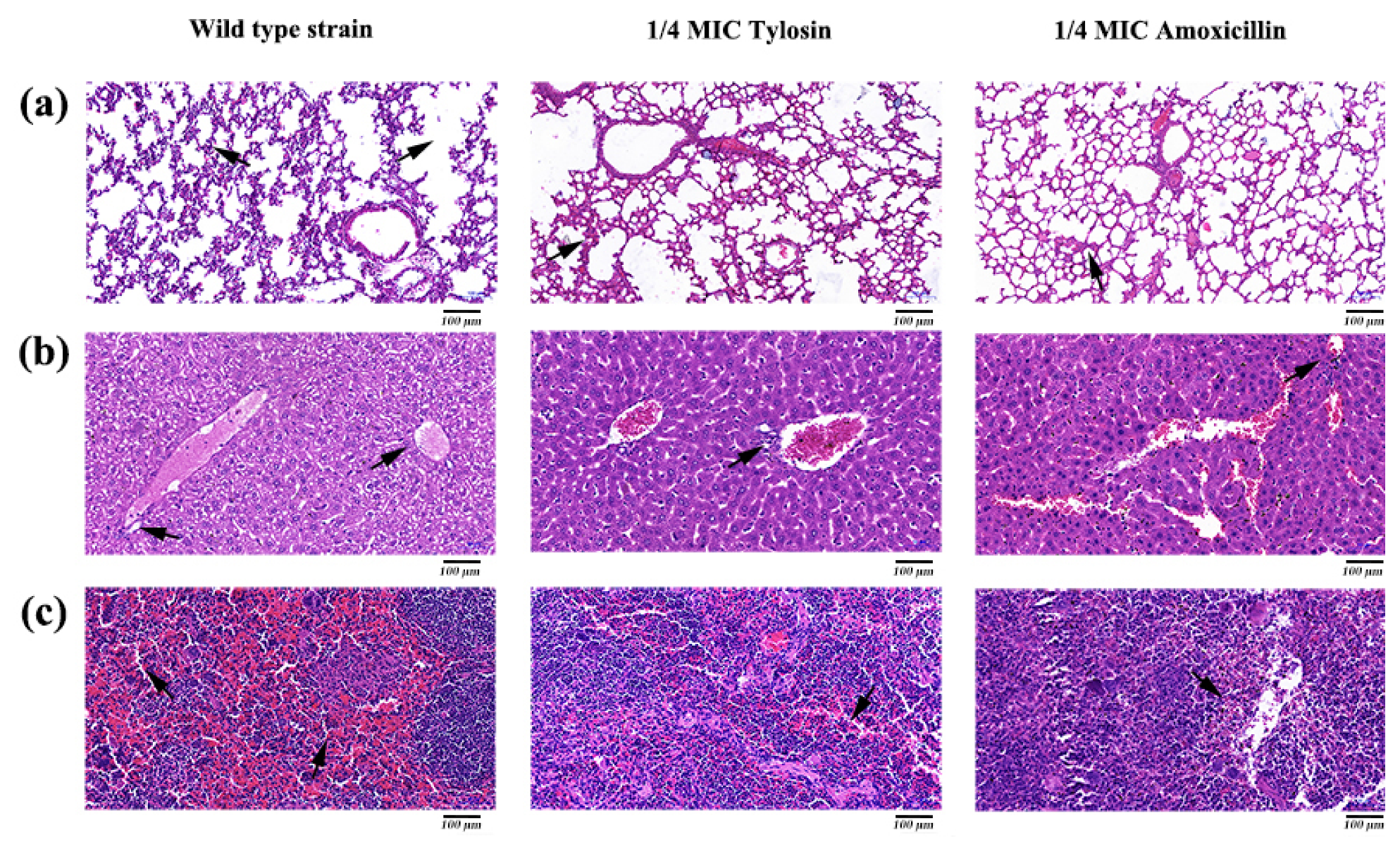 Ijerph 19 08359 g005