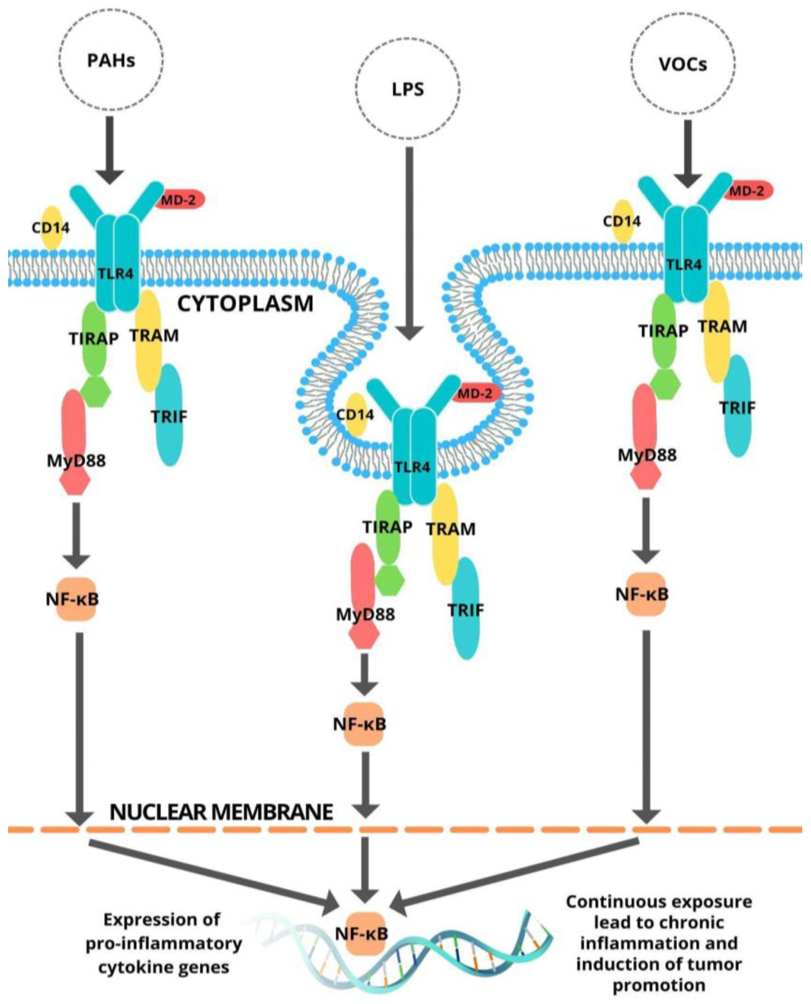 Ijerph 19 08360 g001