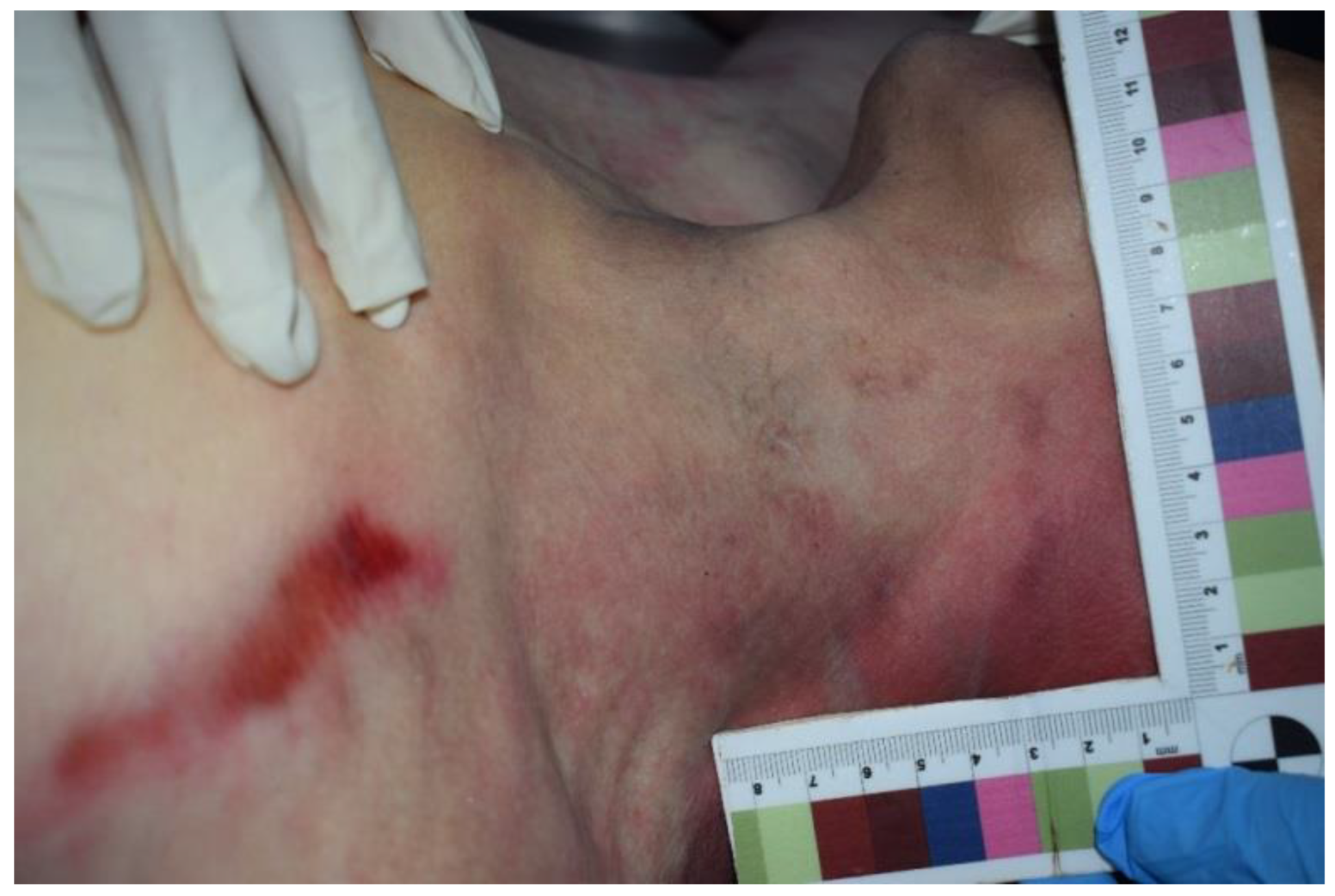 Ijerph 19 08432 g004