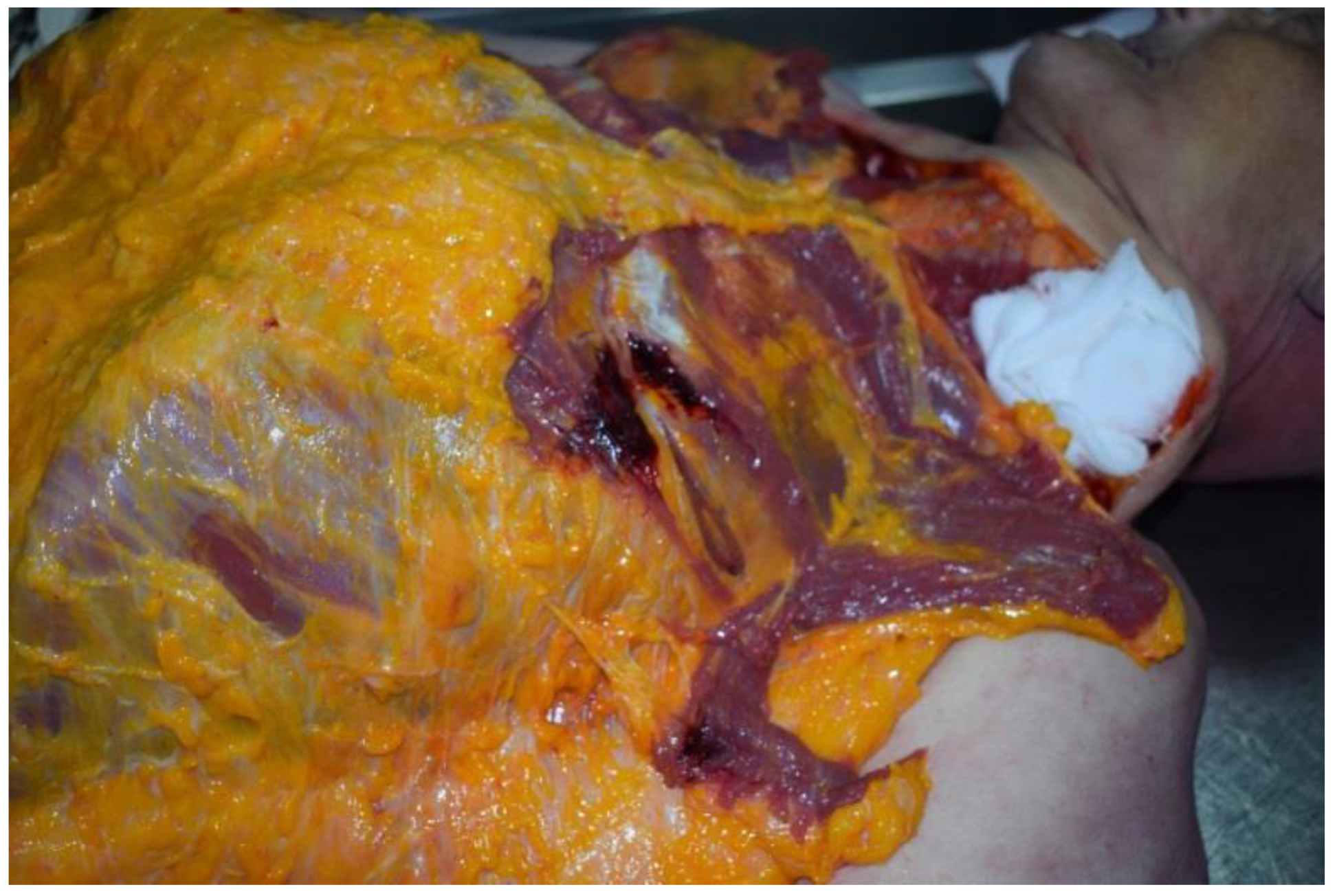 Ijerph 19 08432 g006