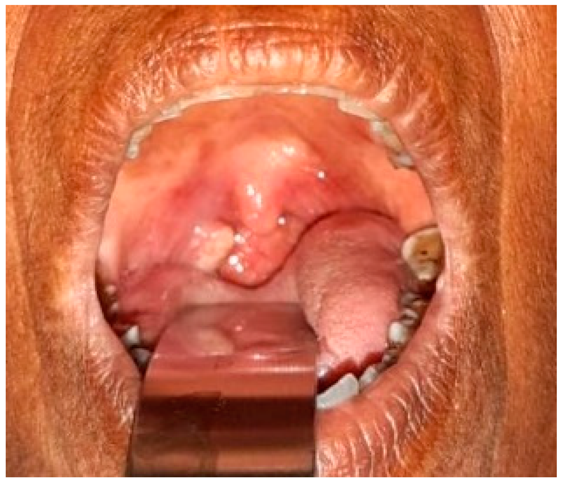 Ijerph 19 08510 g0a2