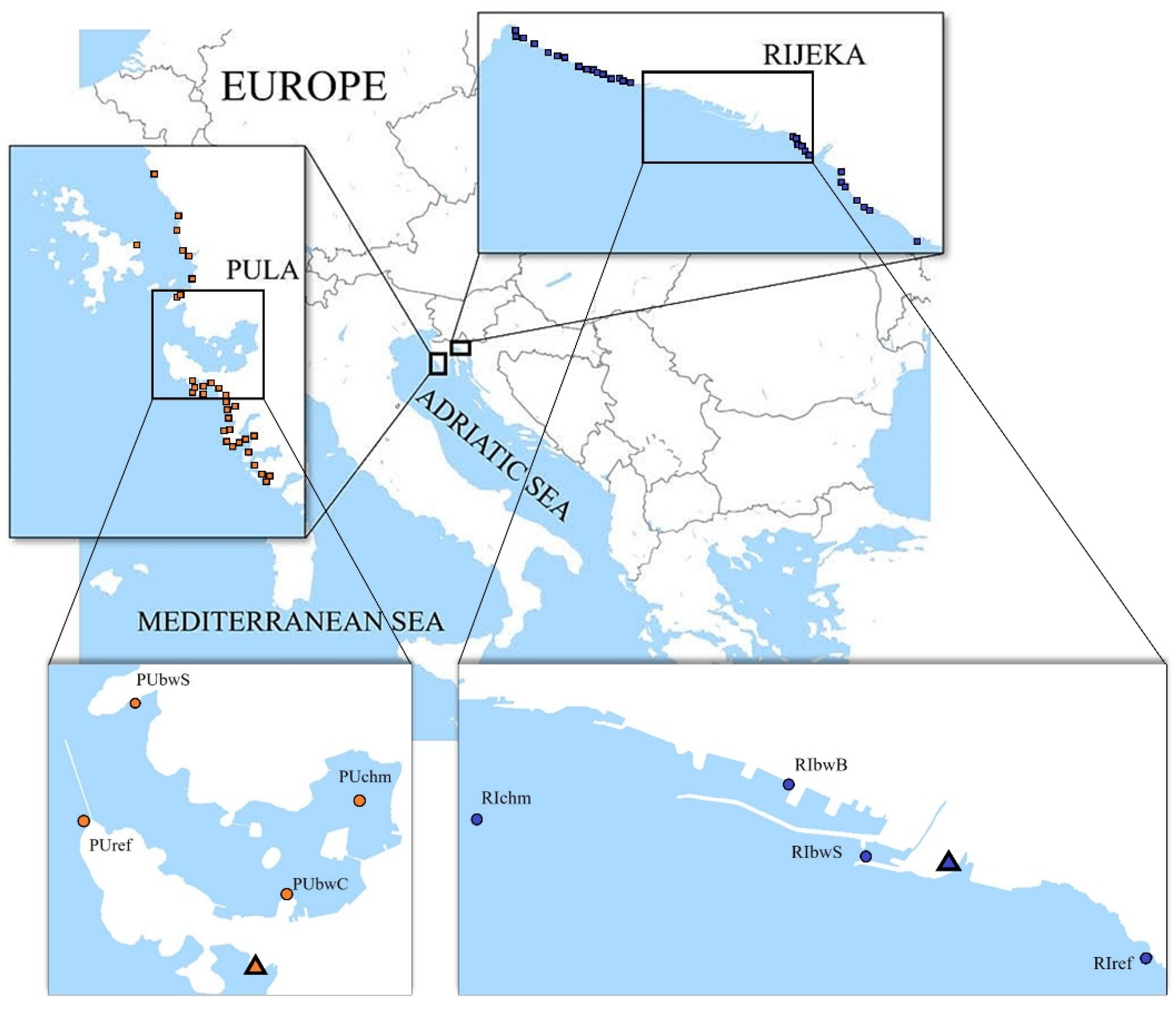 Ijerph 19 08552 g001