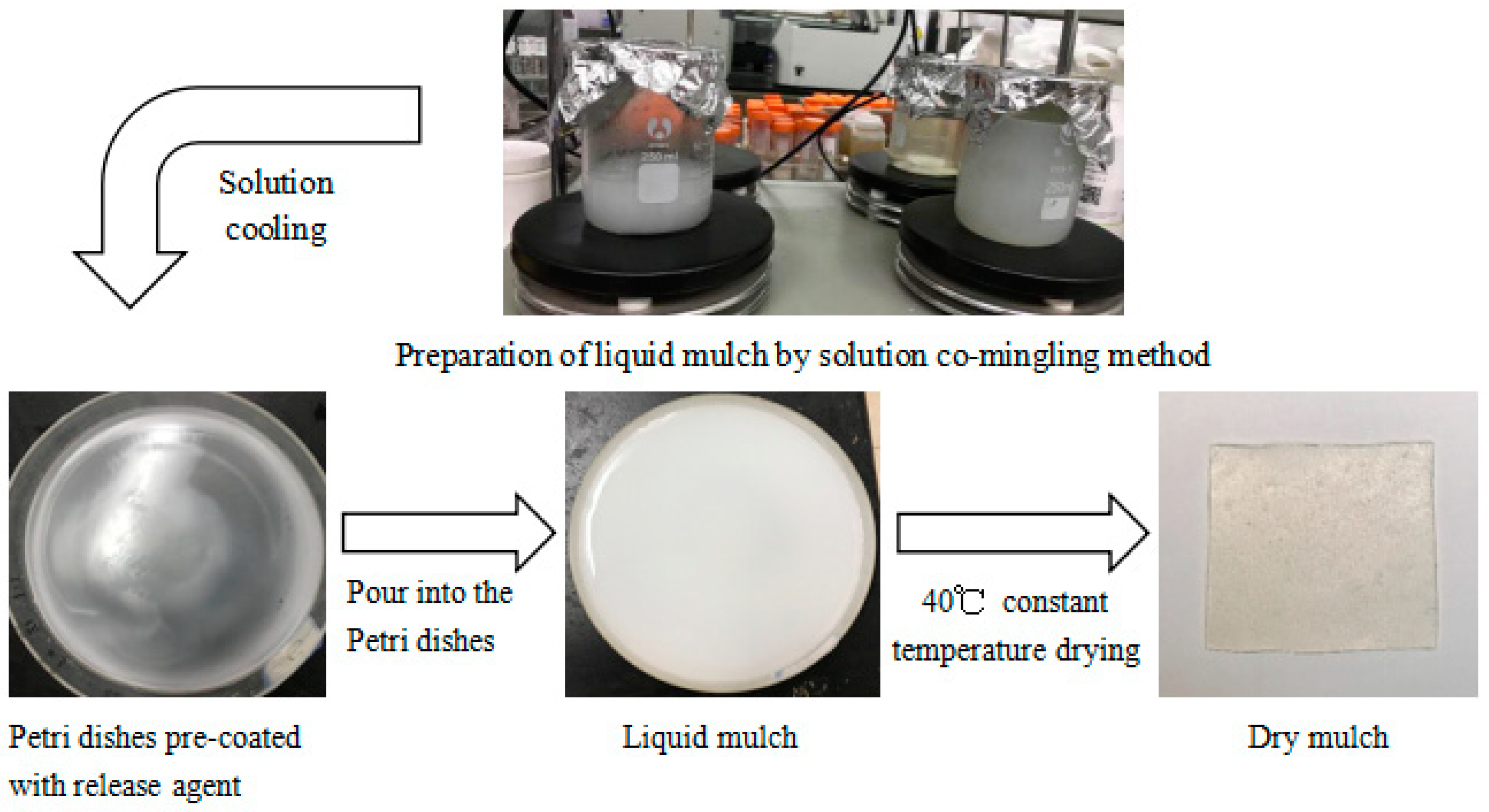 Ijerph 19 08631 g001