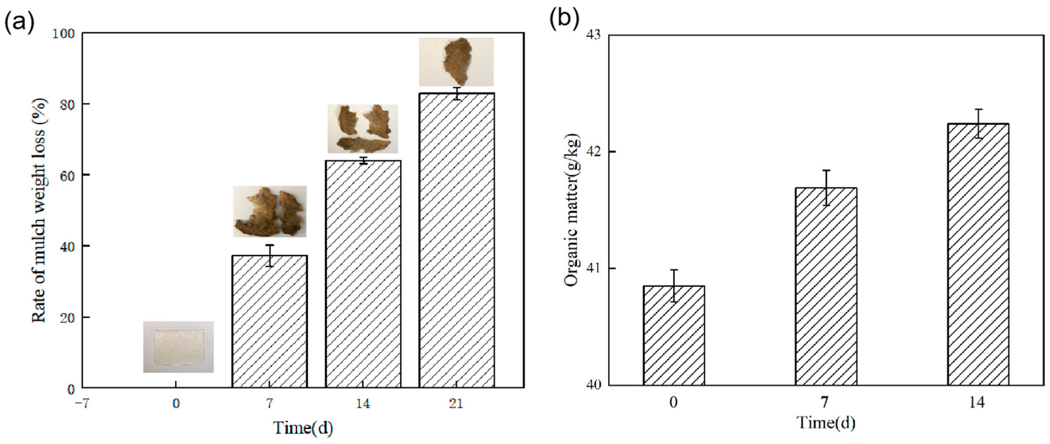 Ijerph 19 08631 g004