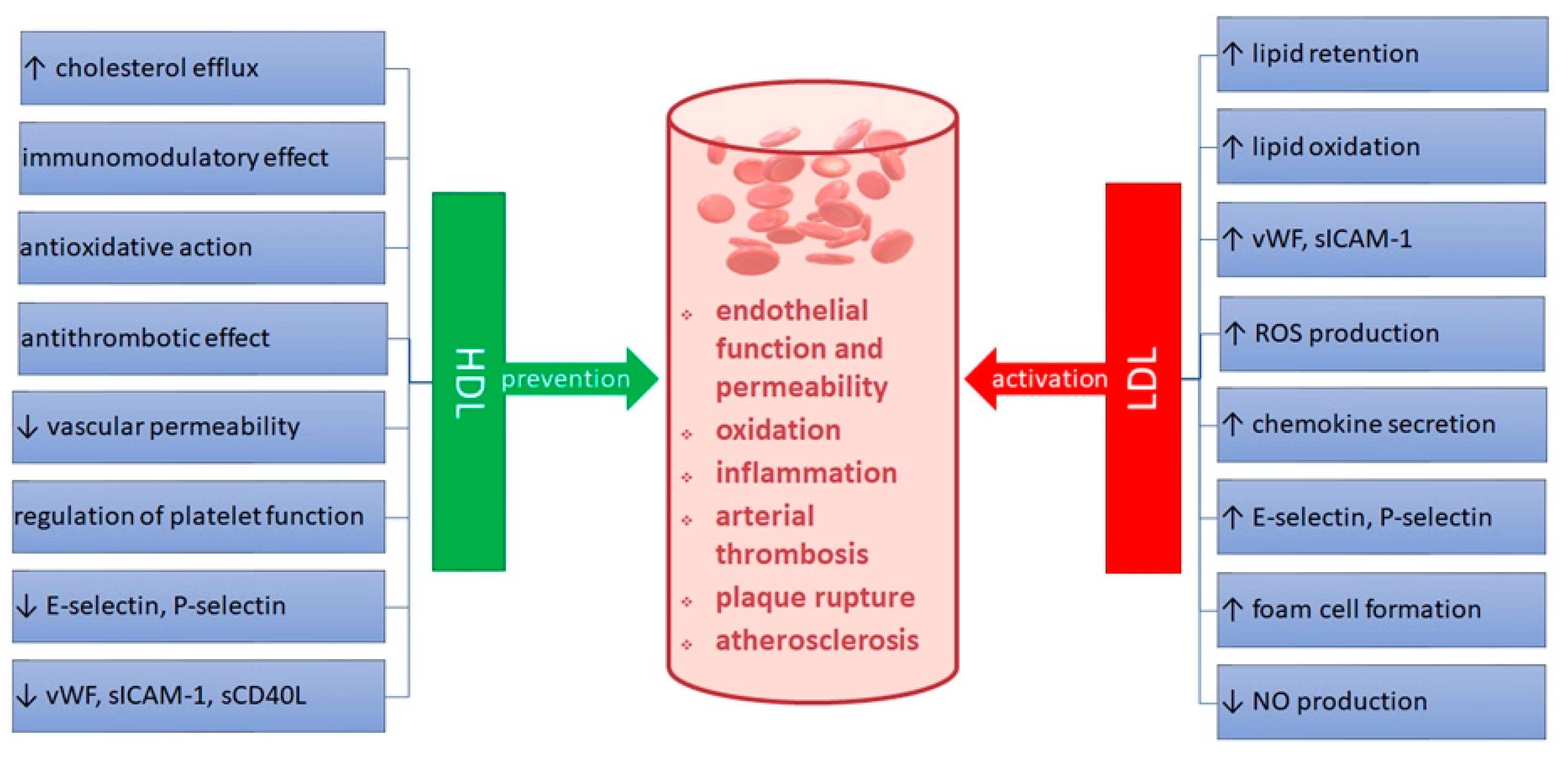Ijerph 19 08637 g001