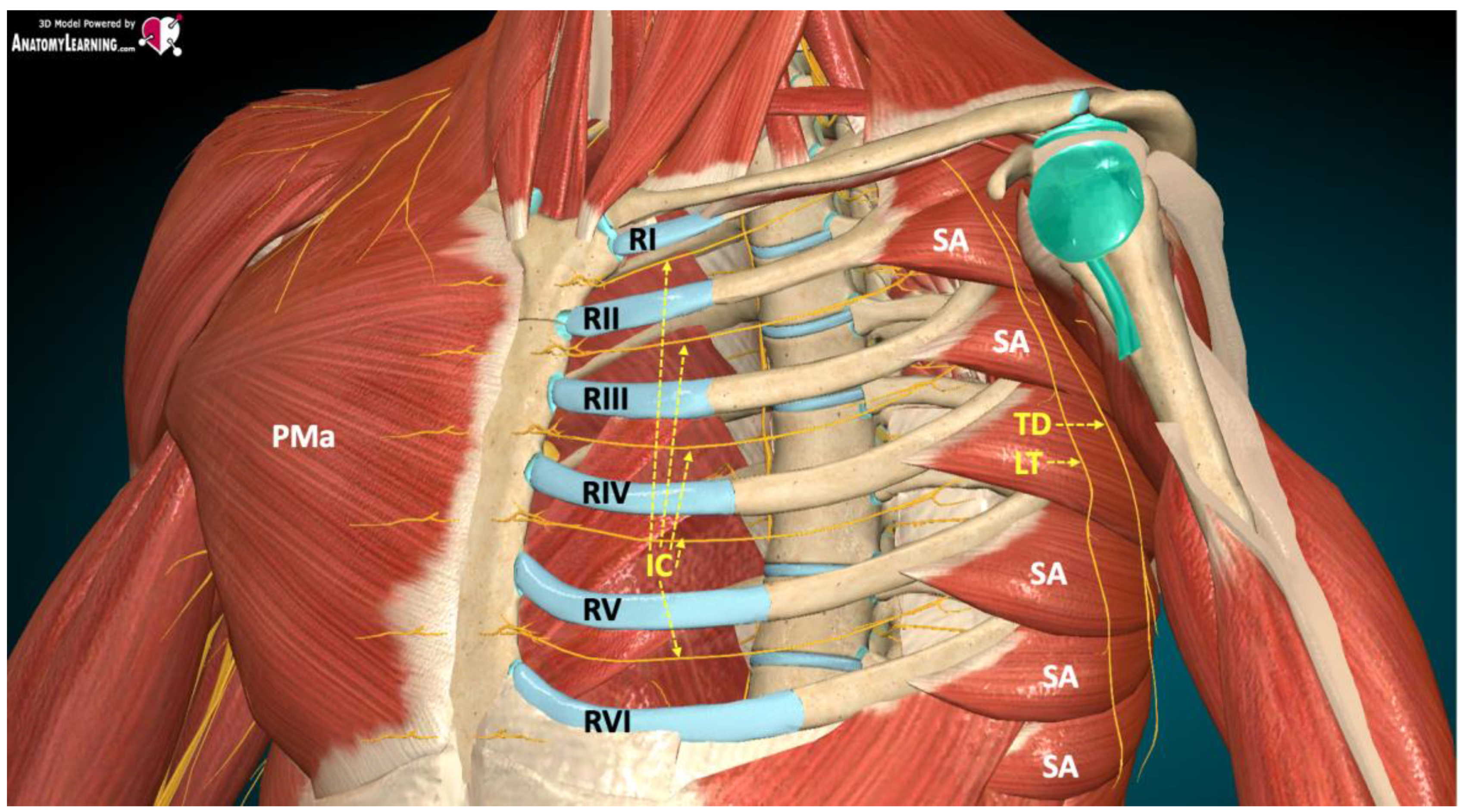 Ijerph 19 08696 g002