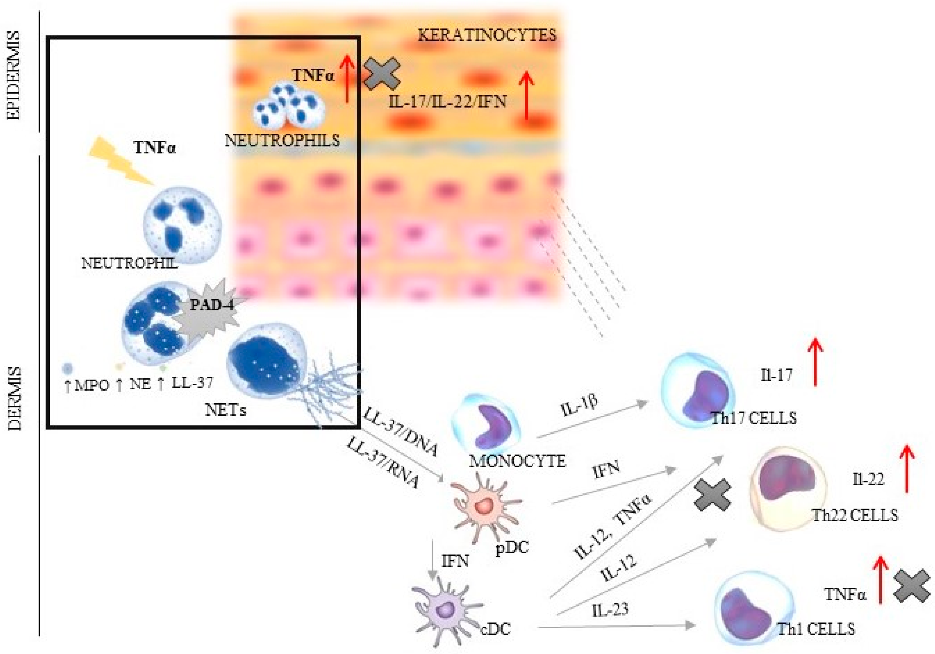 Ijerph 19 08723 g001